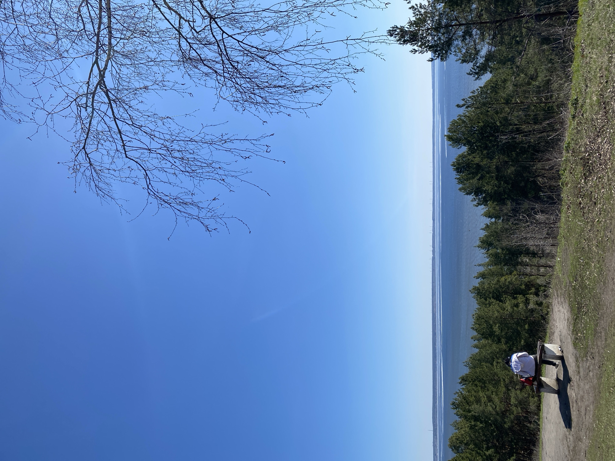 Morning spring outing documented across Ulyanovsk, Russia