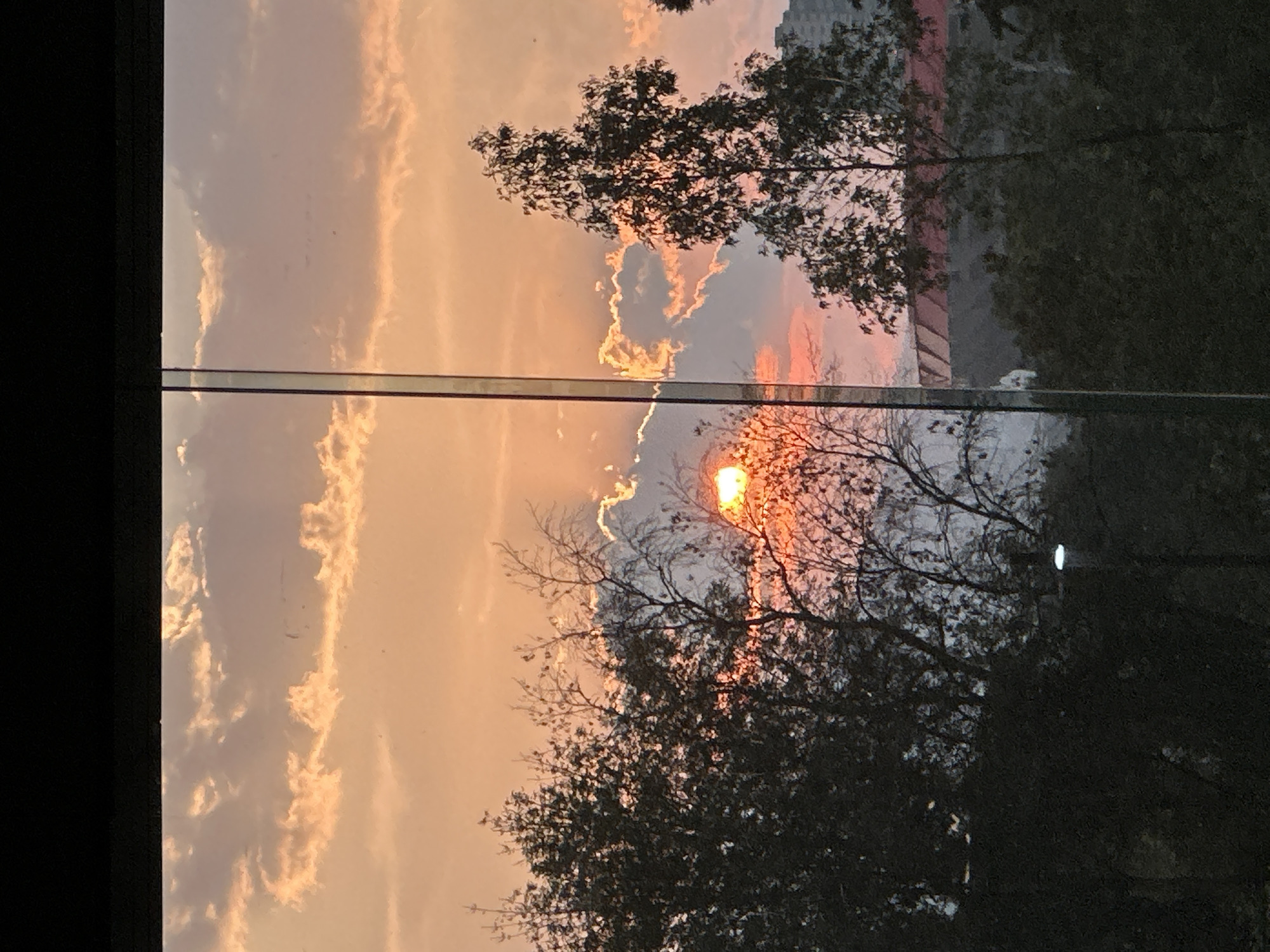 Evening sunset and urban architecture documented in Mexico City