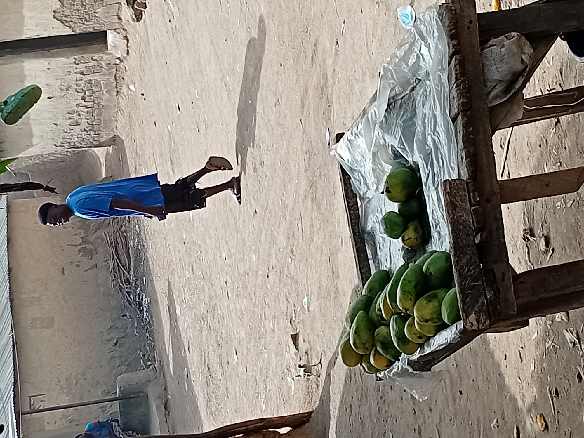 Street fruit vendor displays mangoes in Nata-Ala, Nigeria