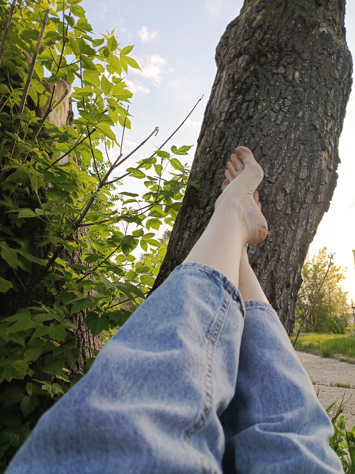 Person rests barefoot in dandelion field in Chaikovsky