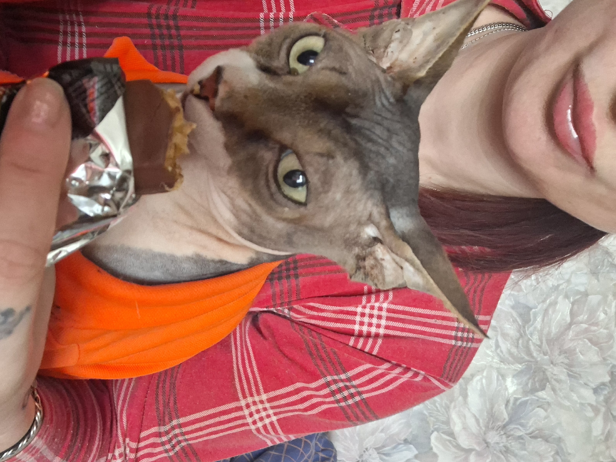 Morning coffee and chocolate shared with cat in Belarus