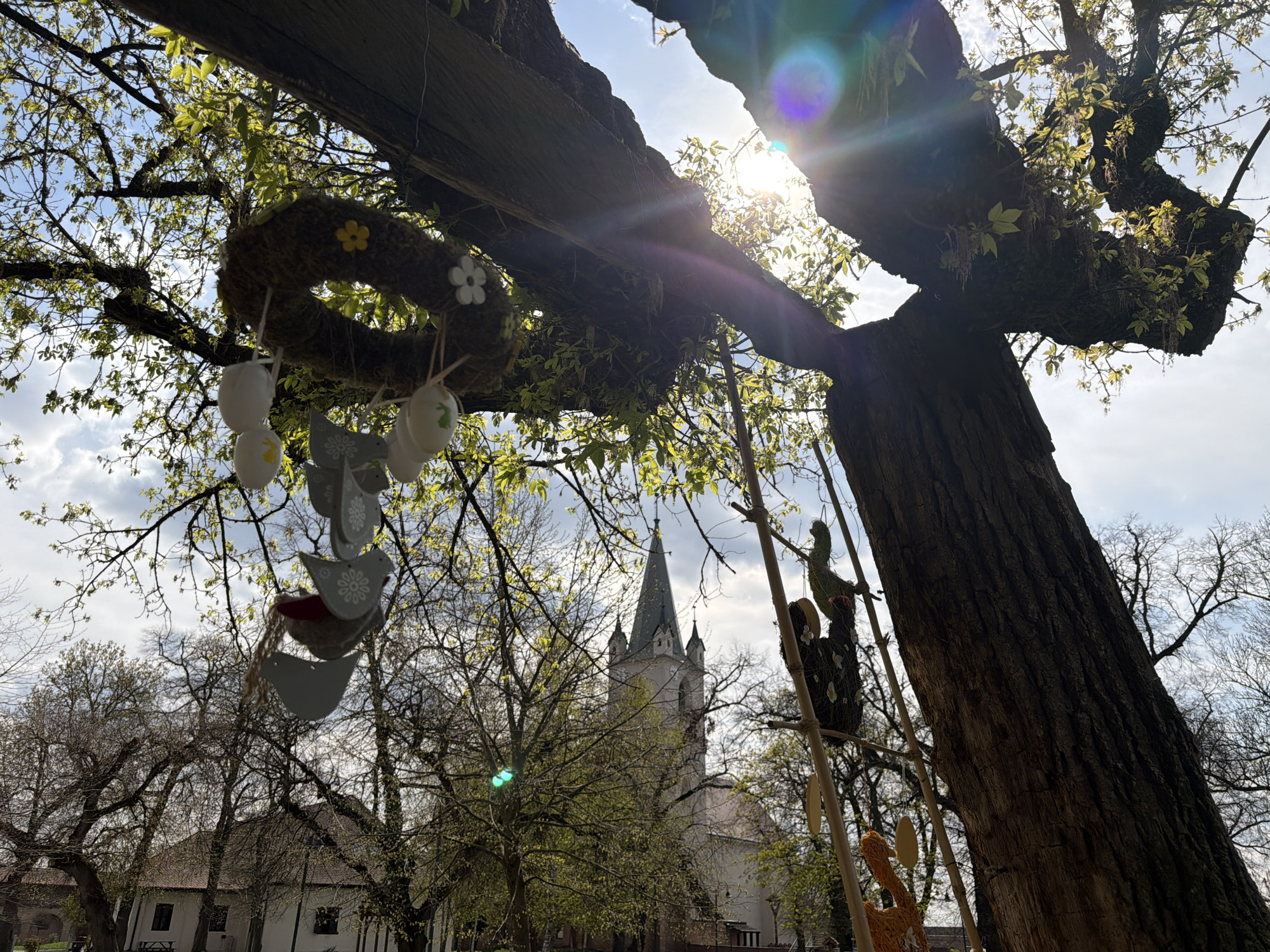 Easter decorations spotted on trees in Târgu Mureș park
