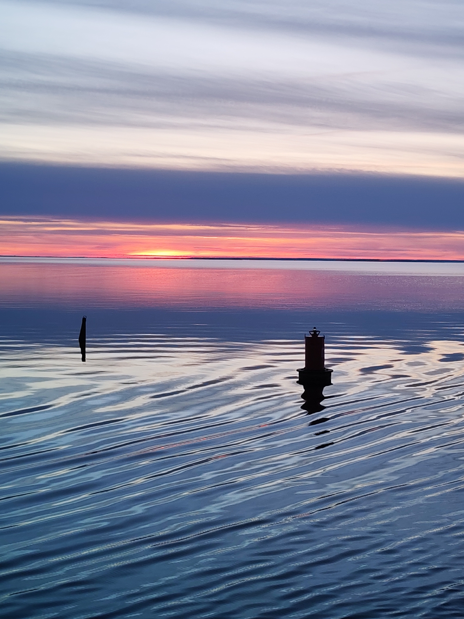 Colorful sunset observed over Russian waters with bird in flight