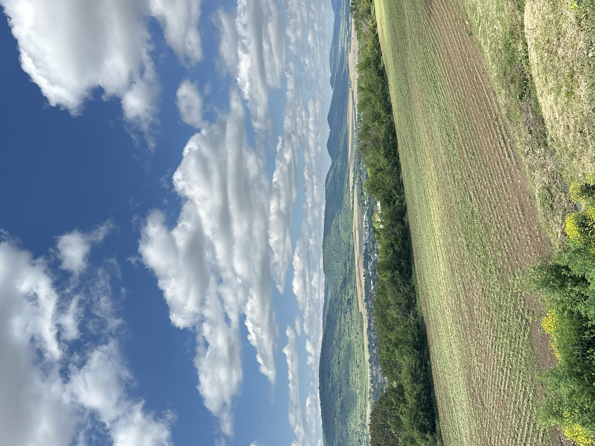 Vehicle convoy observed traveling through Ledenik, Bulgaria farmland