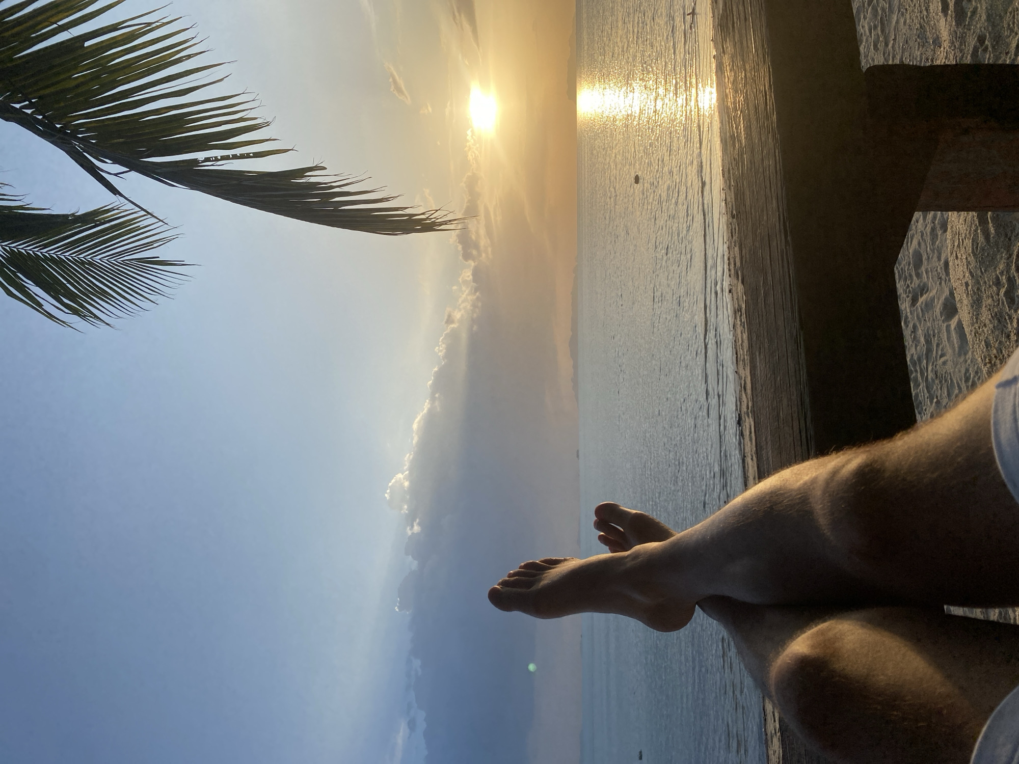 Horses, dogs, and sunset drinks on a Ko Samui beach