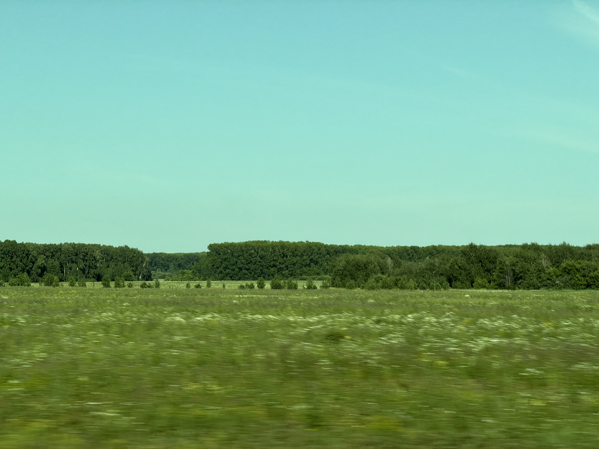 Open fields and power lines outside Cherepanovo on a summer morning