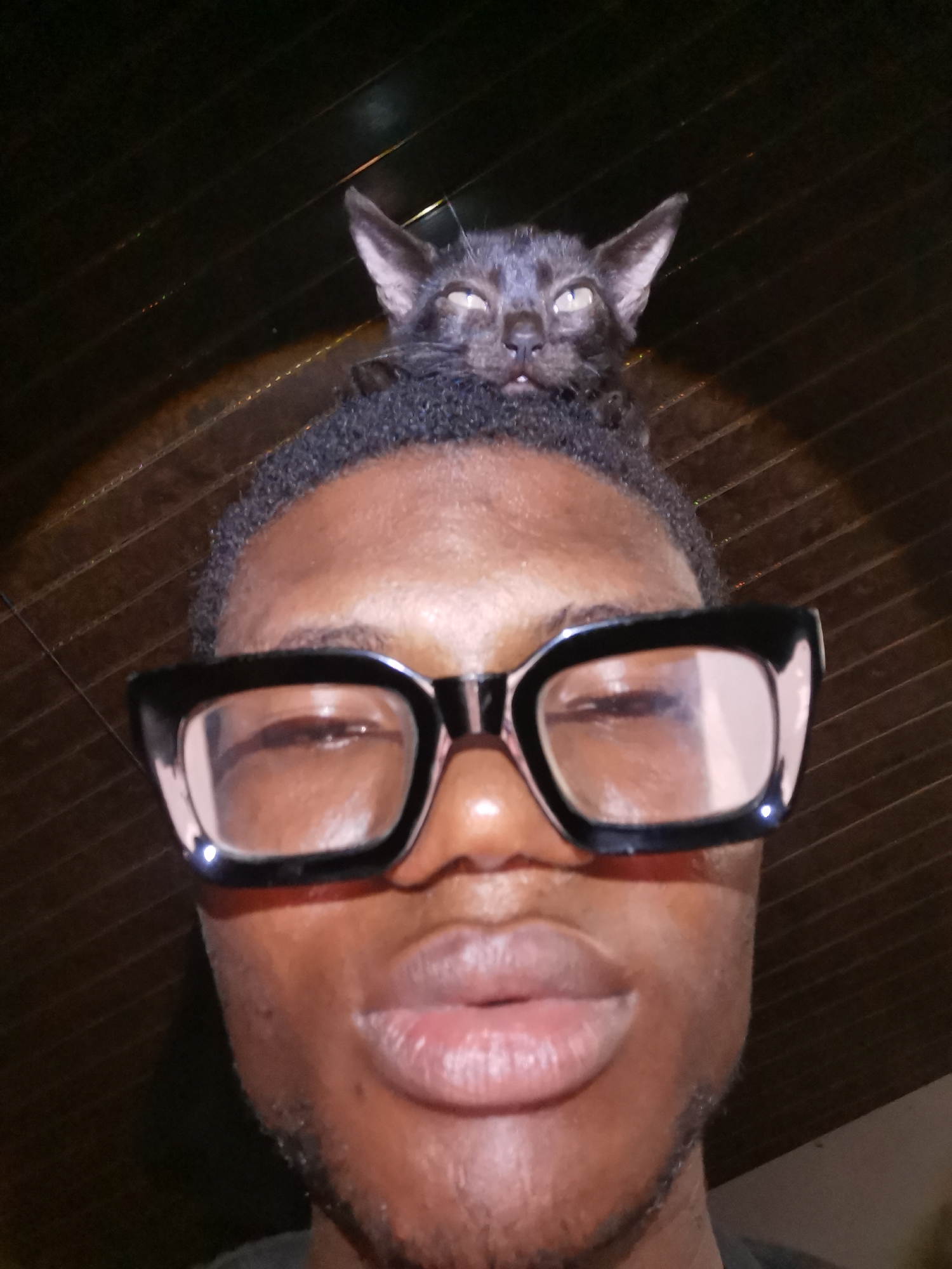 Lagos resident shares playful selfie moments with black kitten