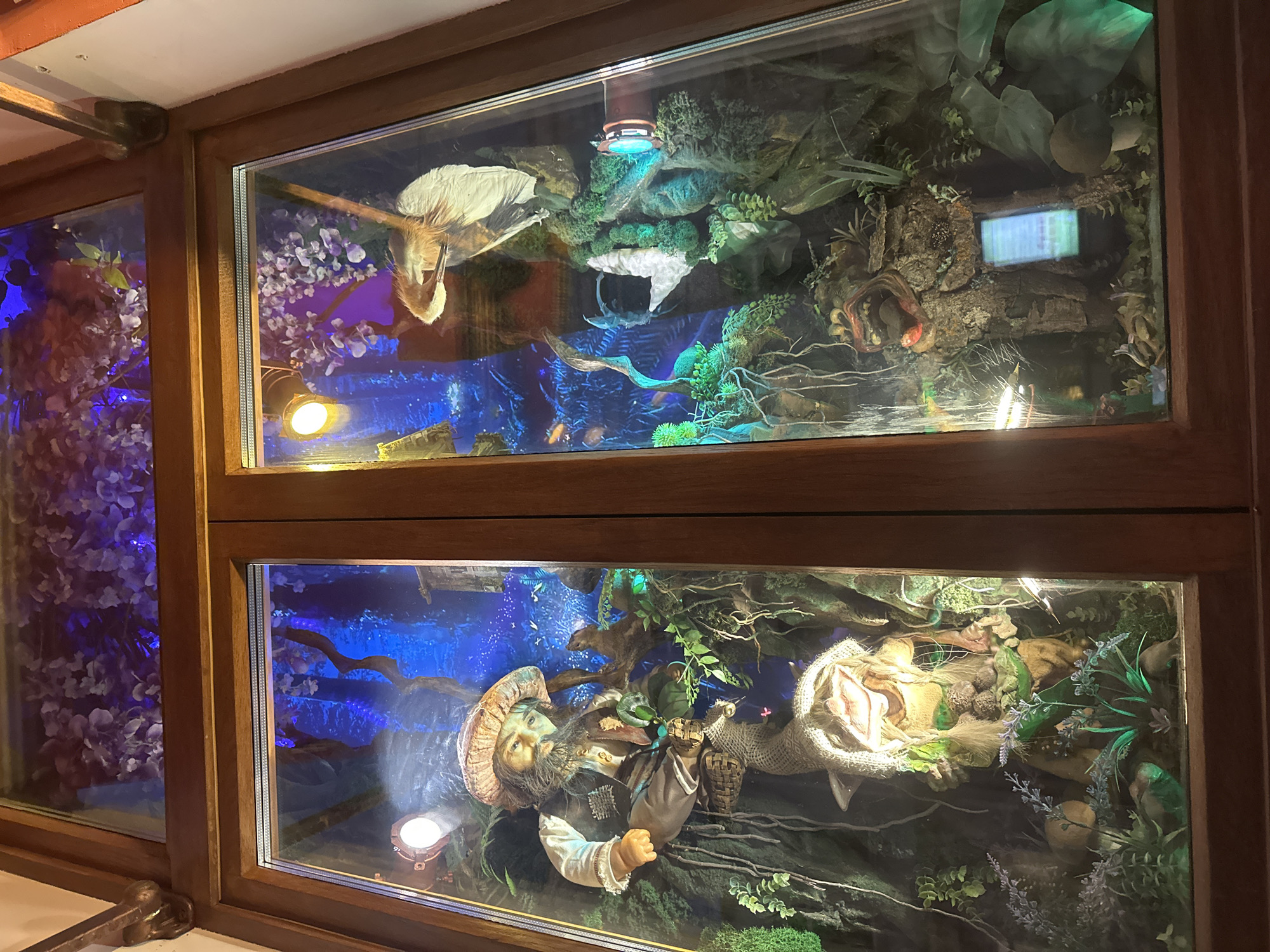 Saint Petersburg at night: facades, window displays, and dioramas