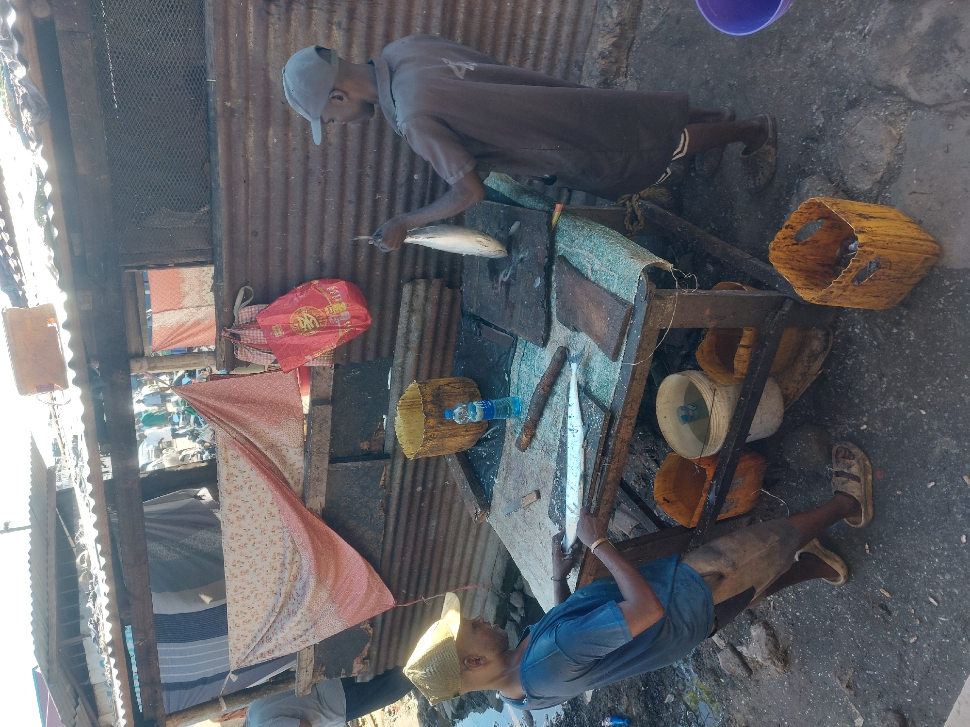 Fish market operations documented across Dar es-Salaam