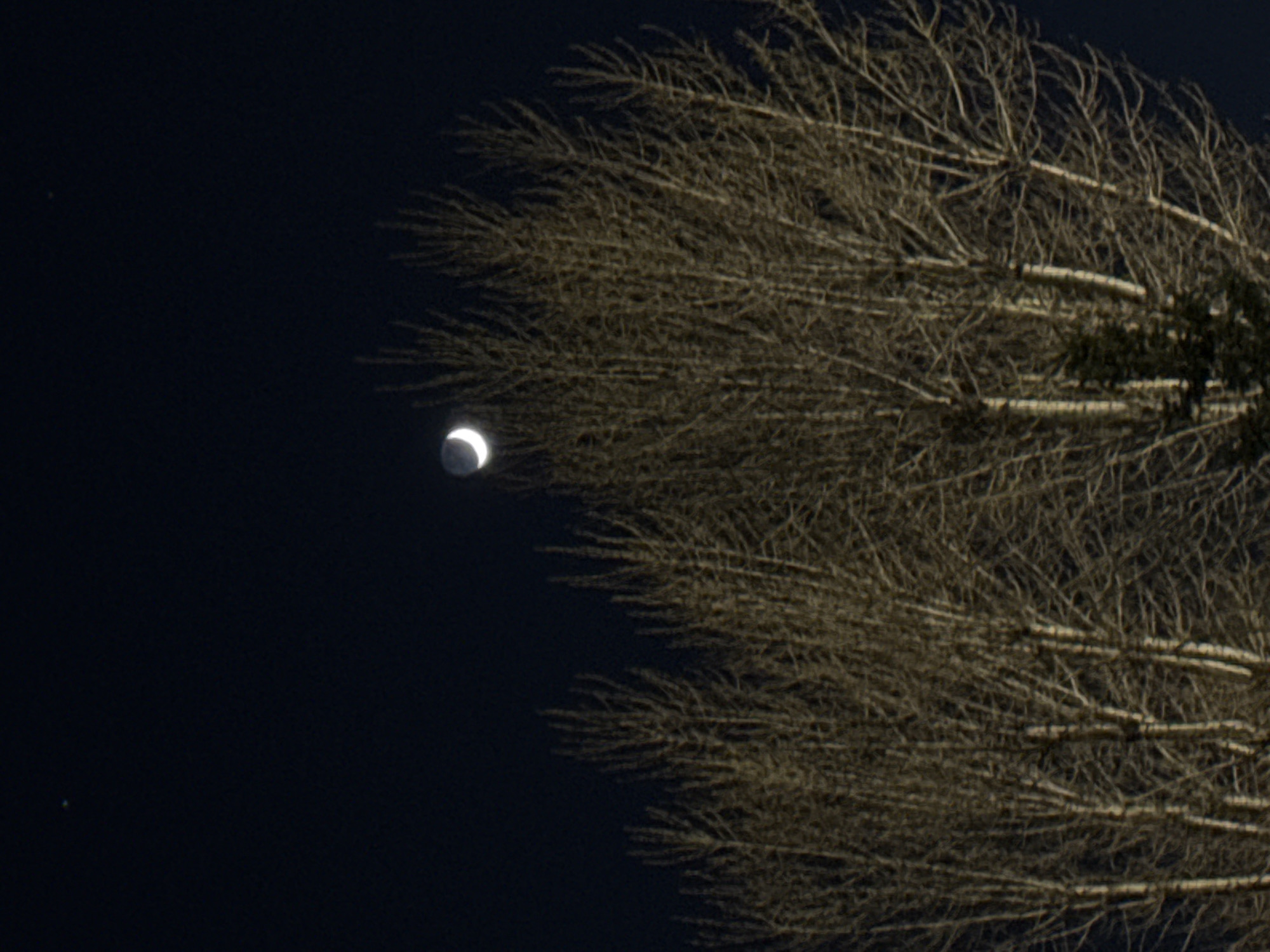 Crescent moon illuminates Saint Petersburg night sky, witnesses document