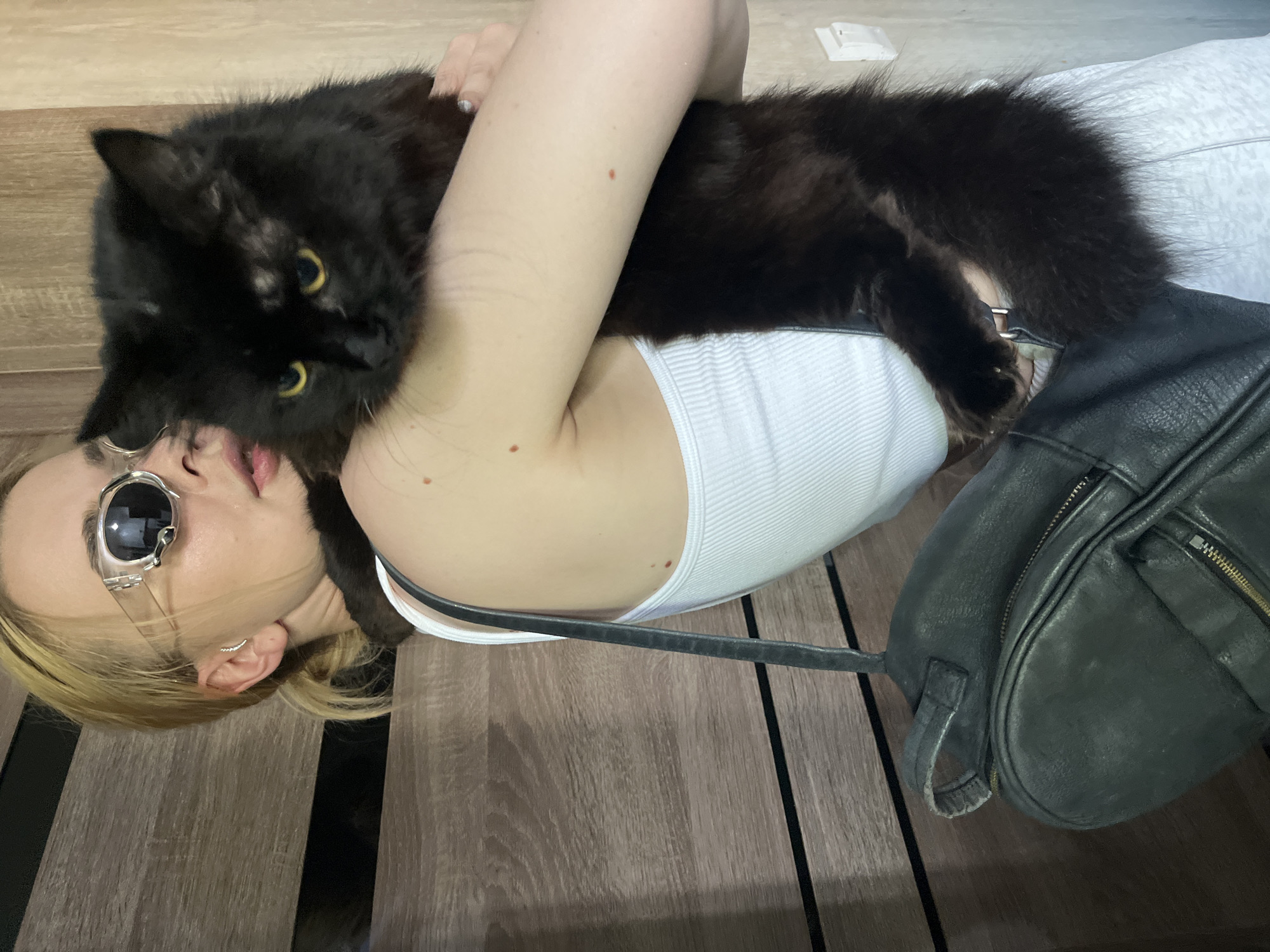 Cat interactions and affection in Tikhoretsk apartments