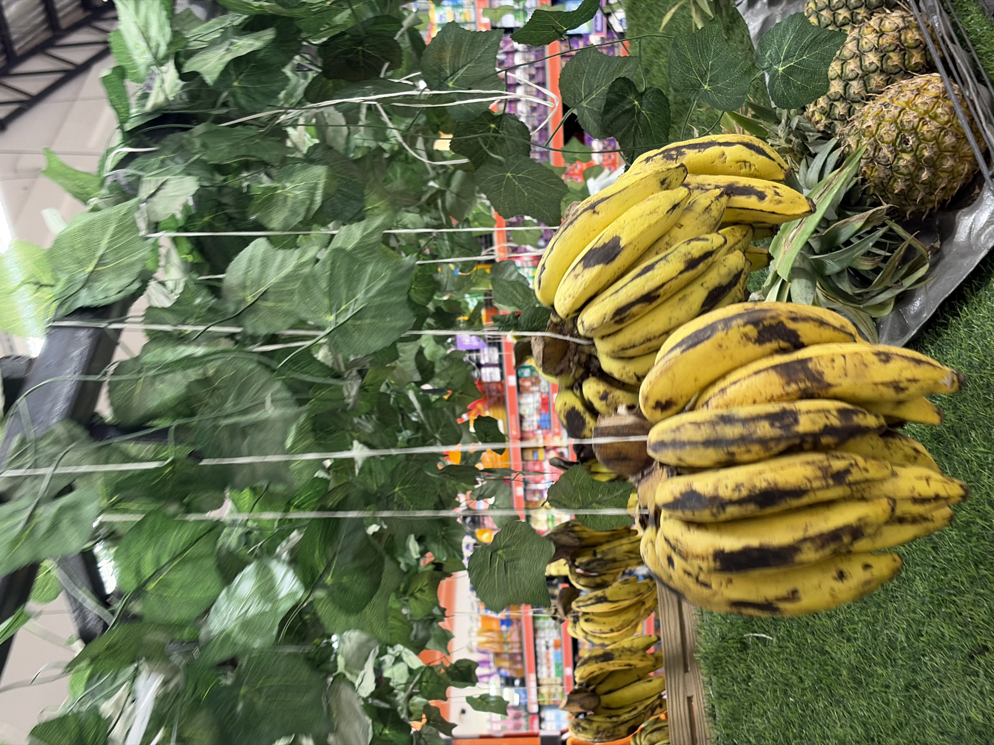 Market Activity Documented in Igboefon Nigeria