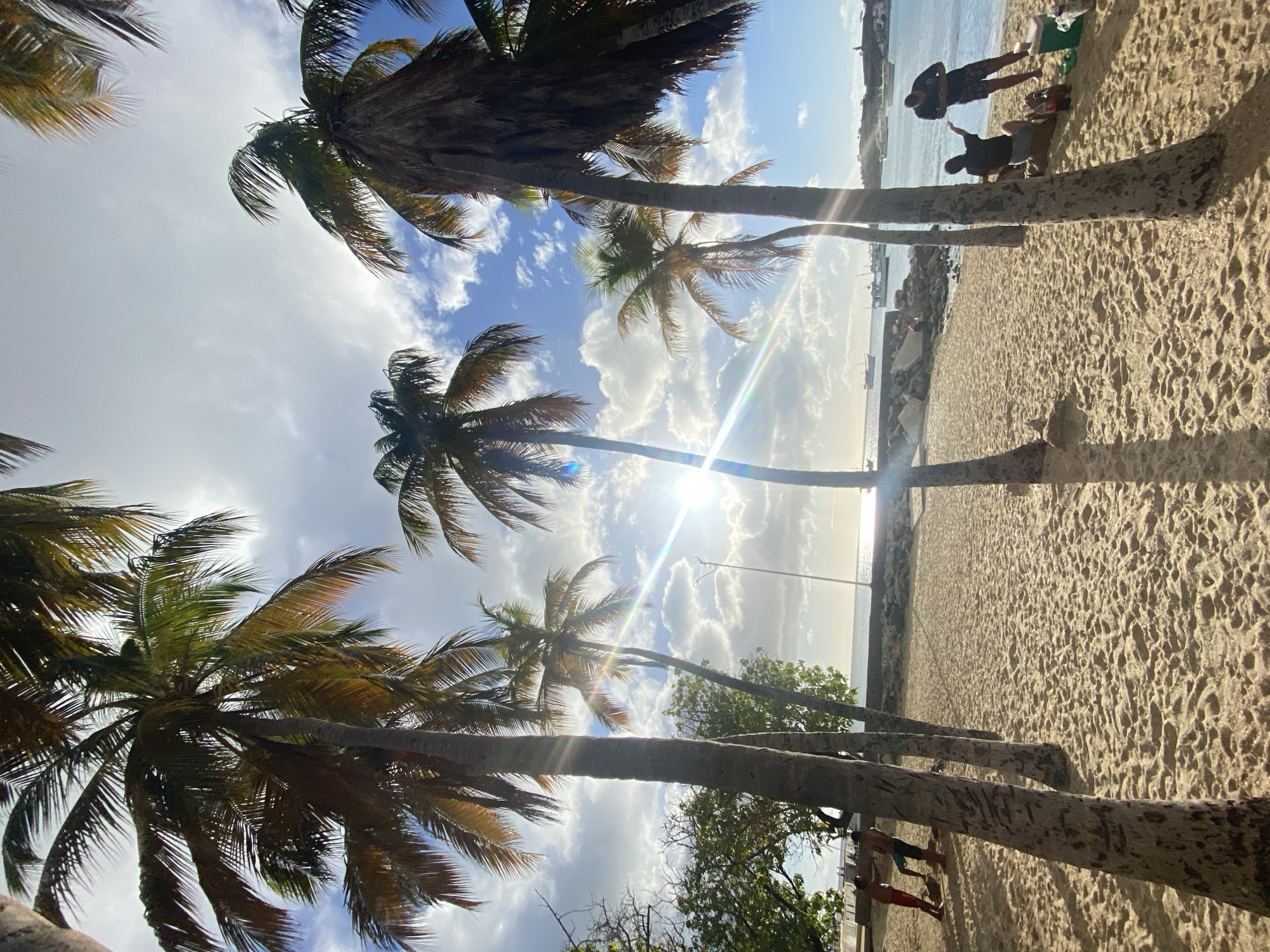 Tropical beach moments captured in Juan Griego, Venezuela