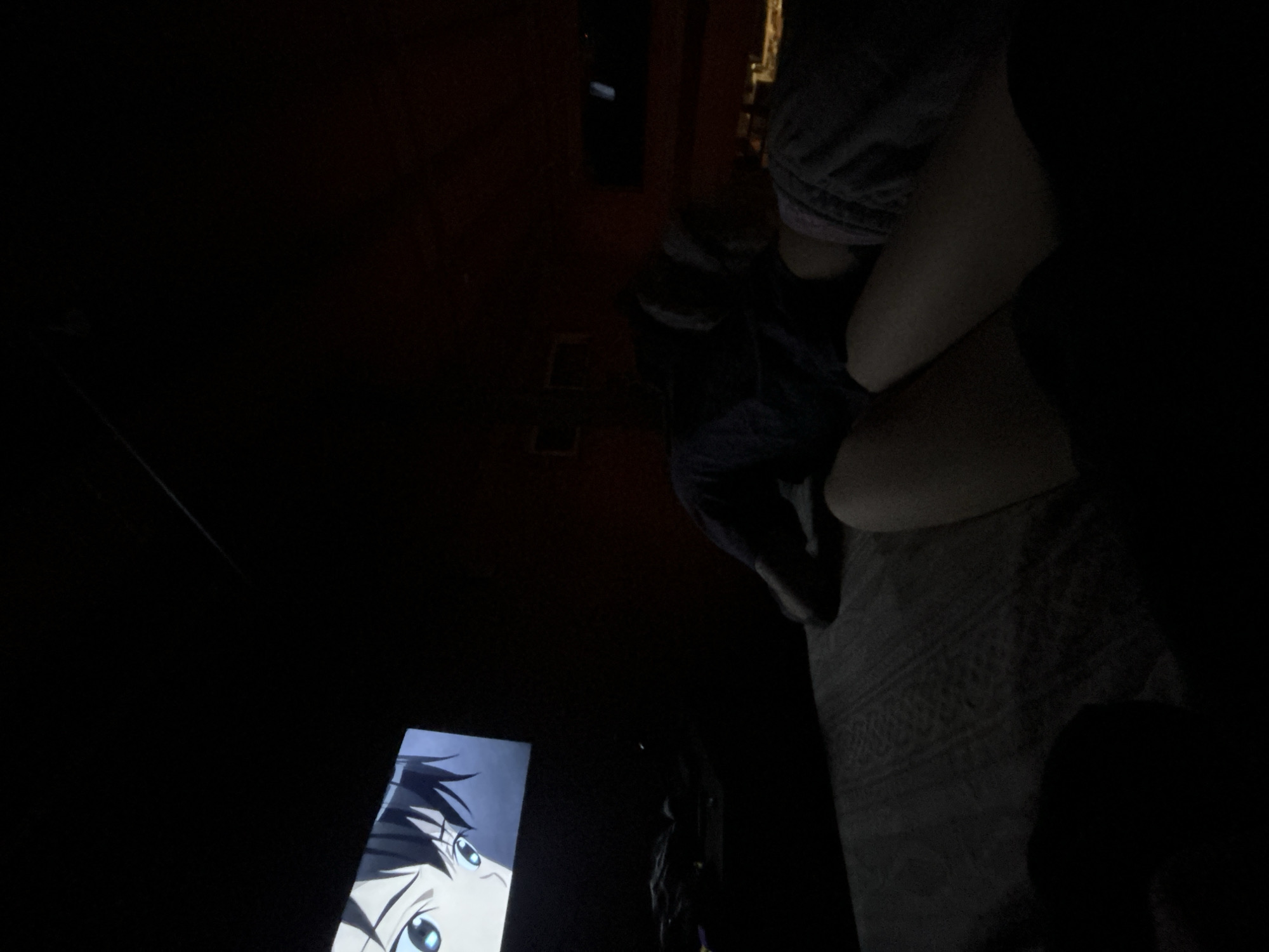 Late-night cartoon viewing observed in Dique Luján residence