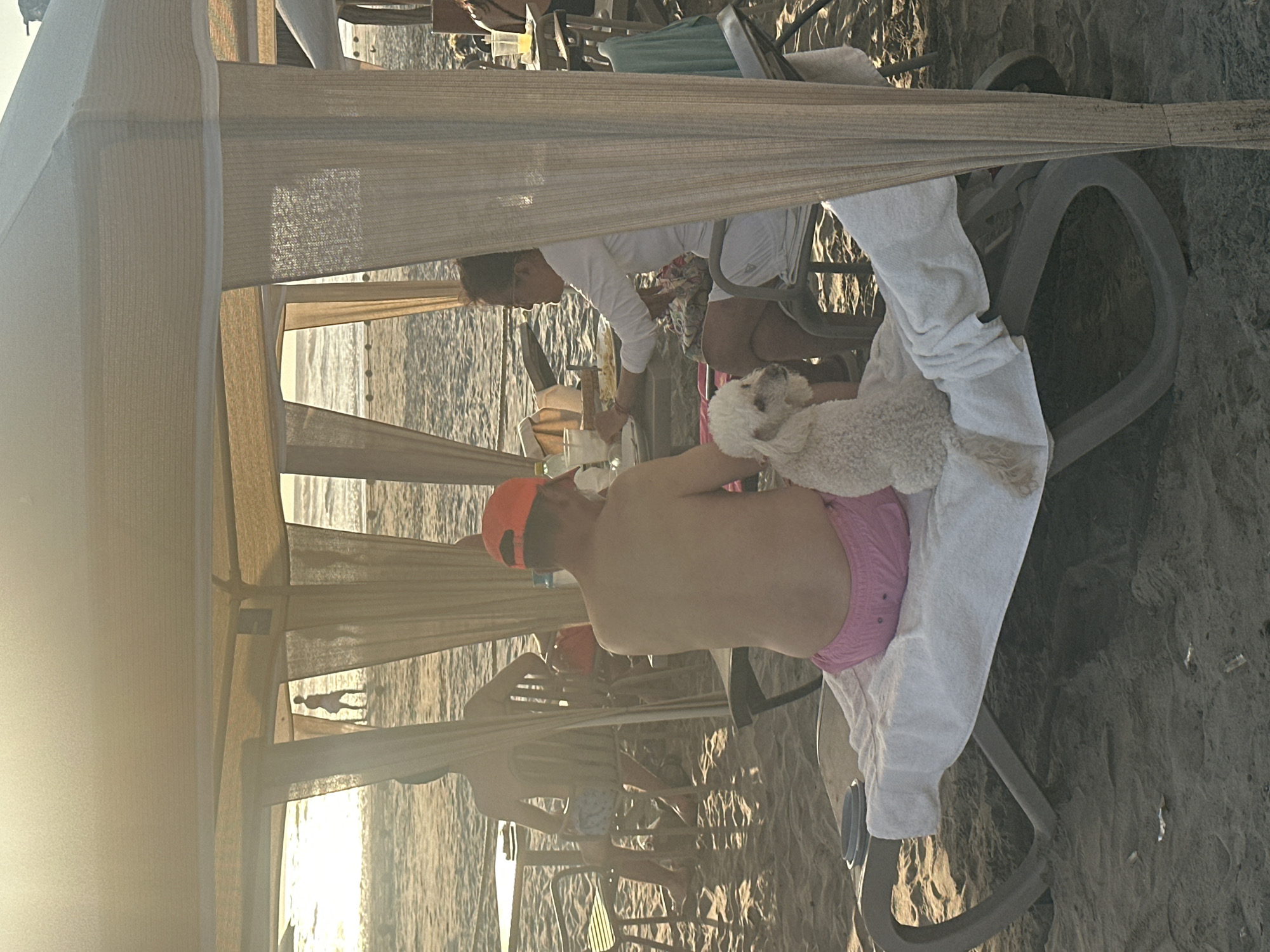 Beach scene captured in Acapulco featuring man with poodle