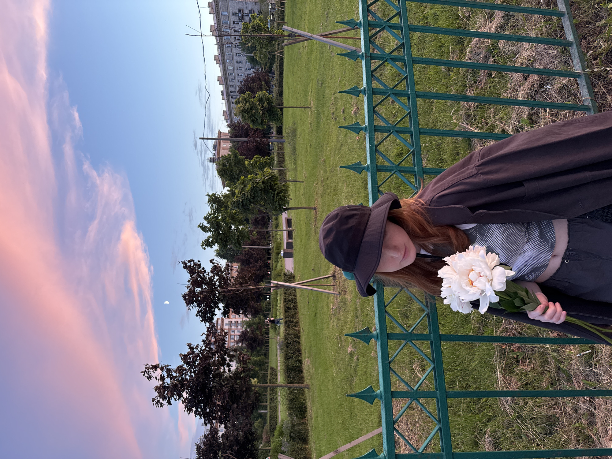 White peonies held against a Saint Petersburg midsummer sunset