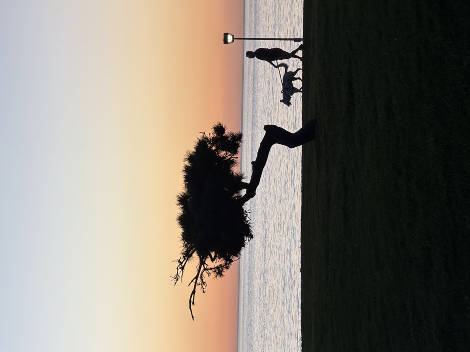 Sunset dog walkers gather along Torrance-Redondo Beach waterfront