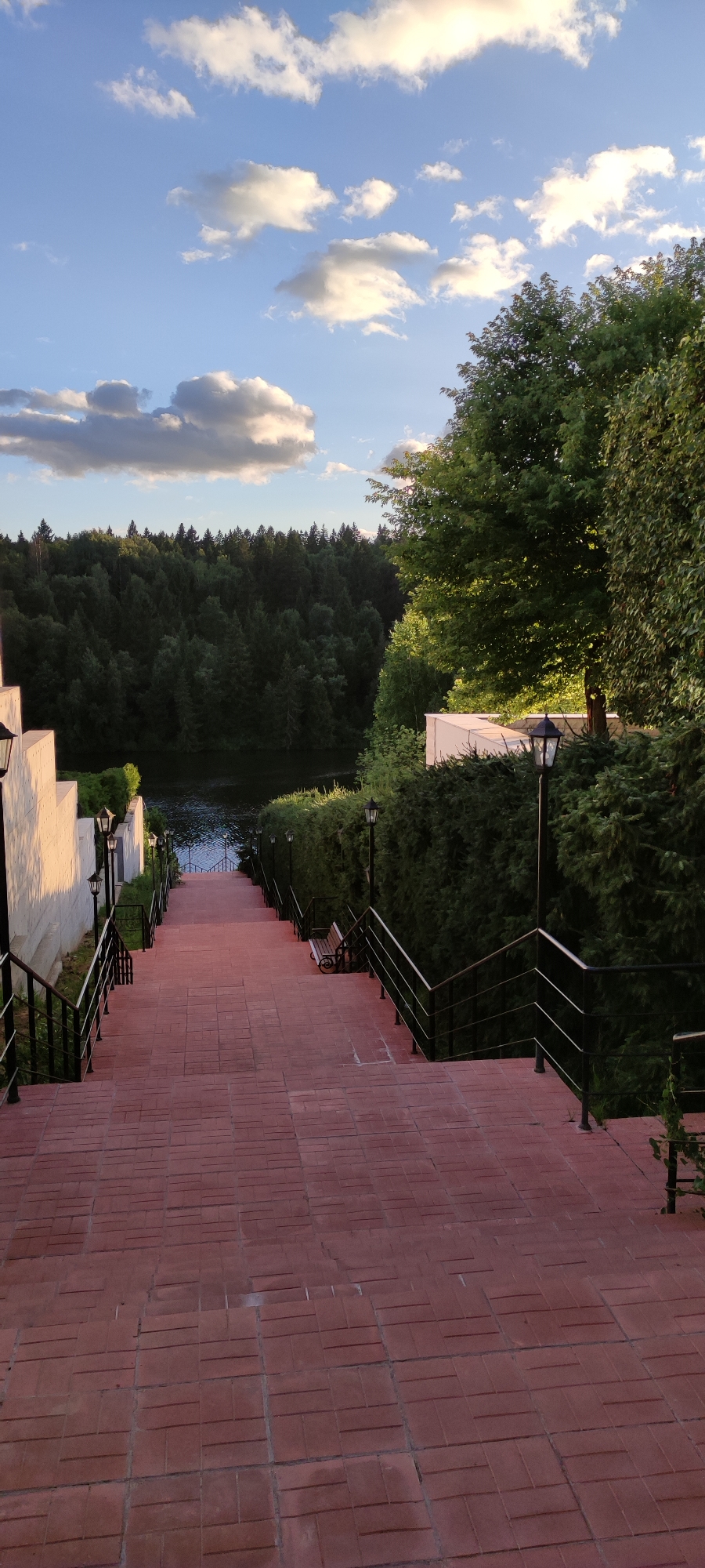 Summer evening stroll in Rosinka with a Cavalier puppy