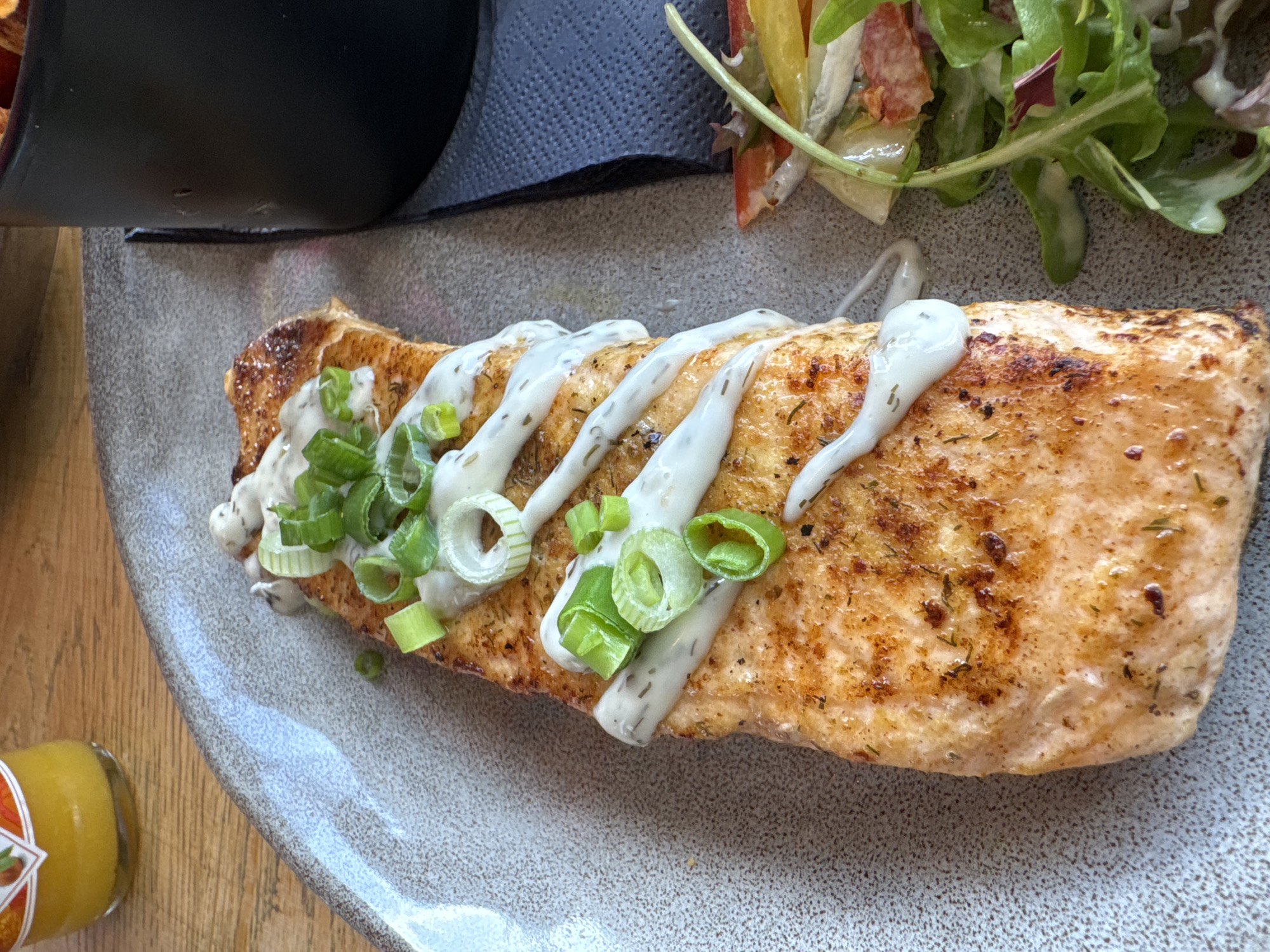 Diner documents salmon meal and ferry journey at waterfront location