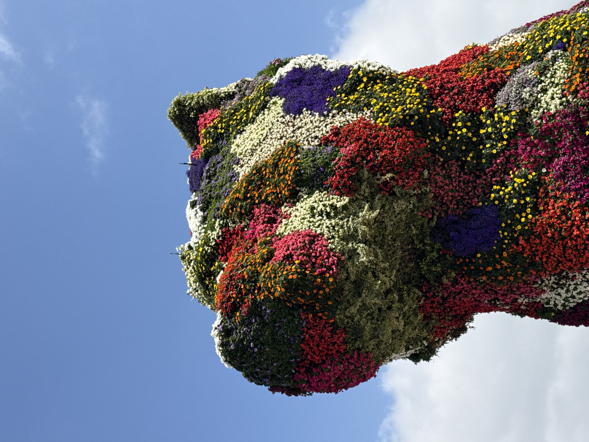 Morning at the Guggenheim Bilbao: titanium curves and Koons' Puppy