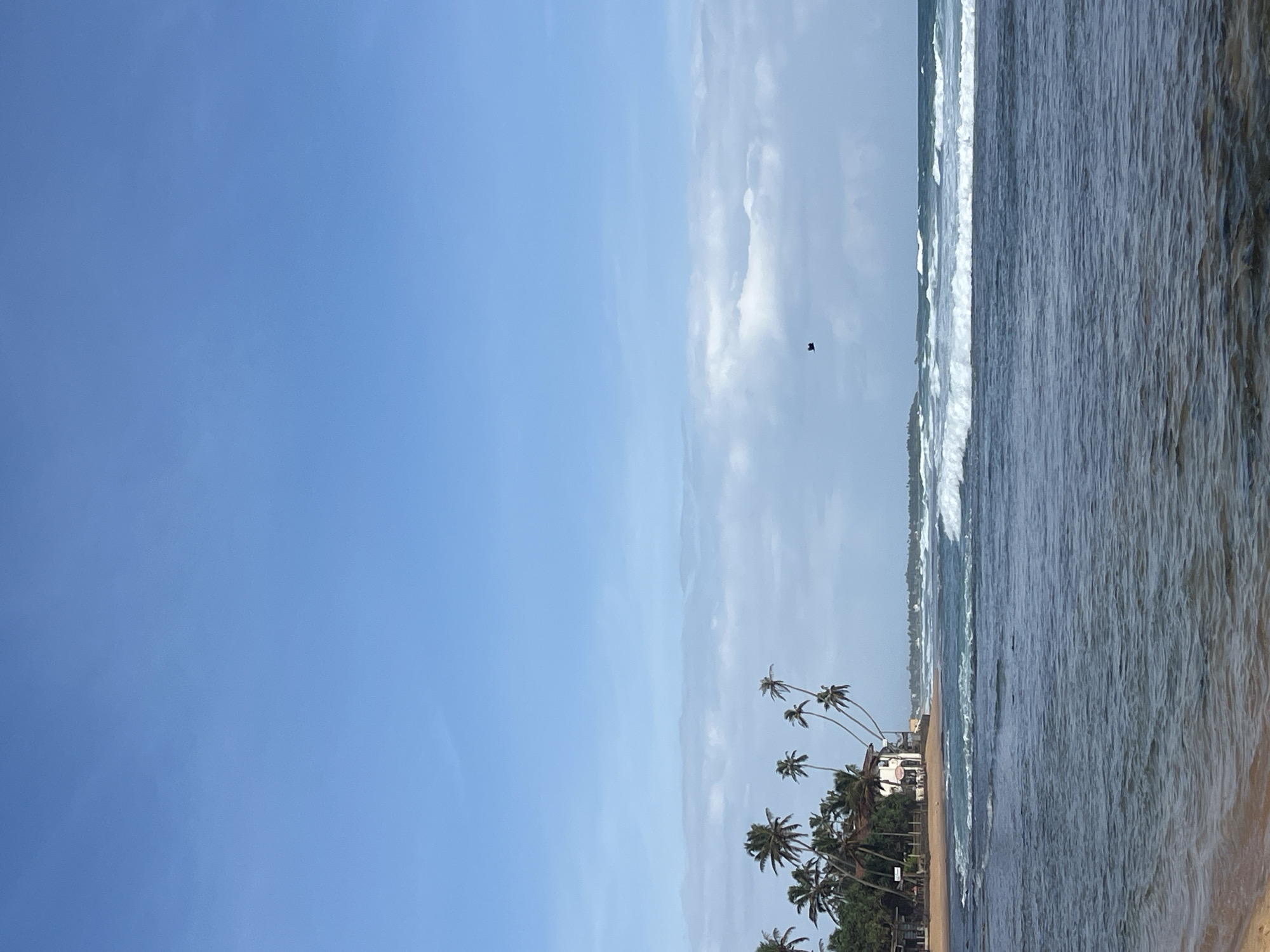 Hikkaduwa coastline: palms, open ocean, blue skies