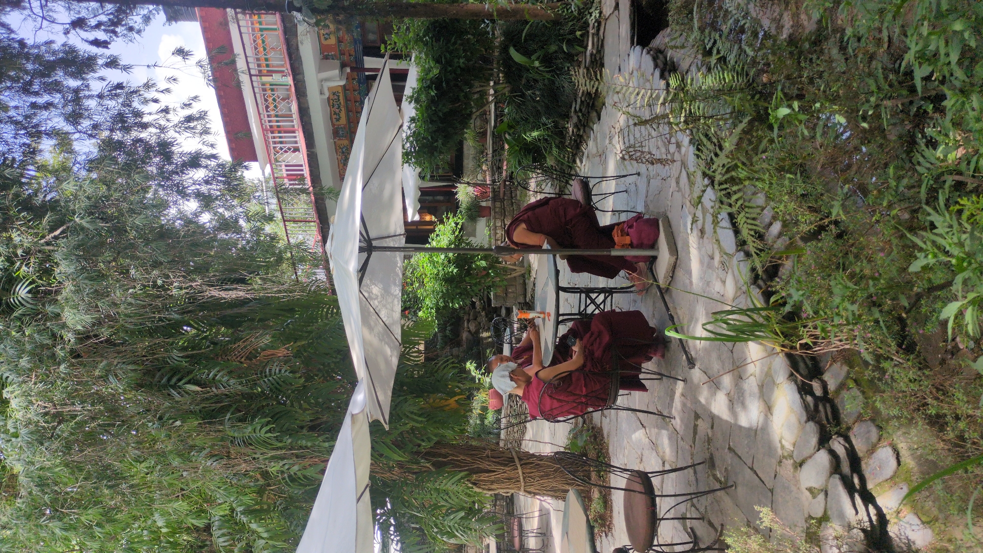 Morning life at Tibetan Buddhist monastery documented in Fatehpur