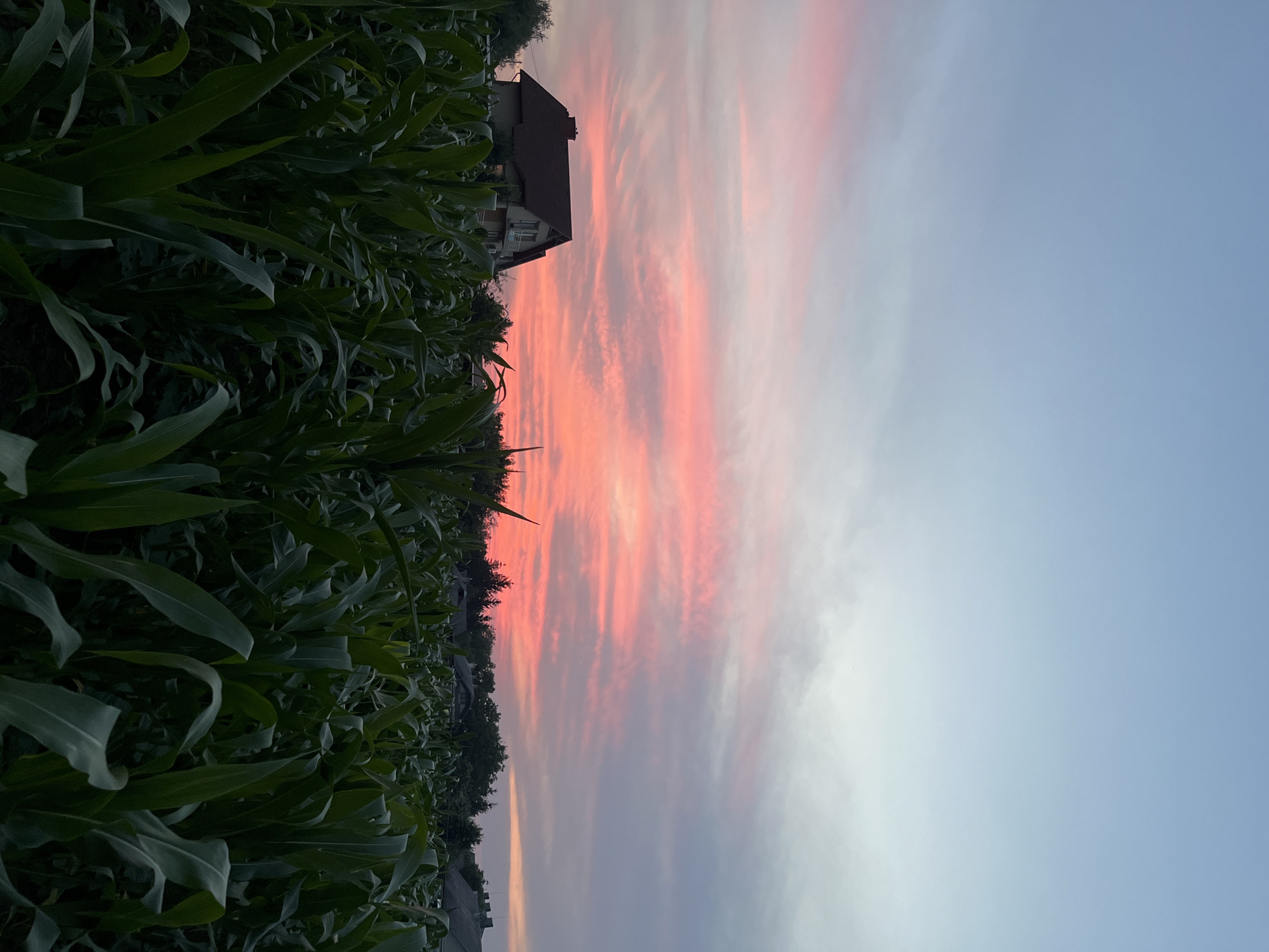 Vivid summer sunset over a small Ukrainian village
