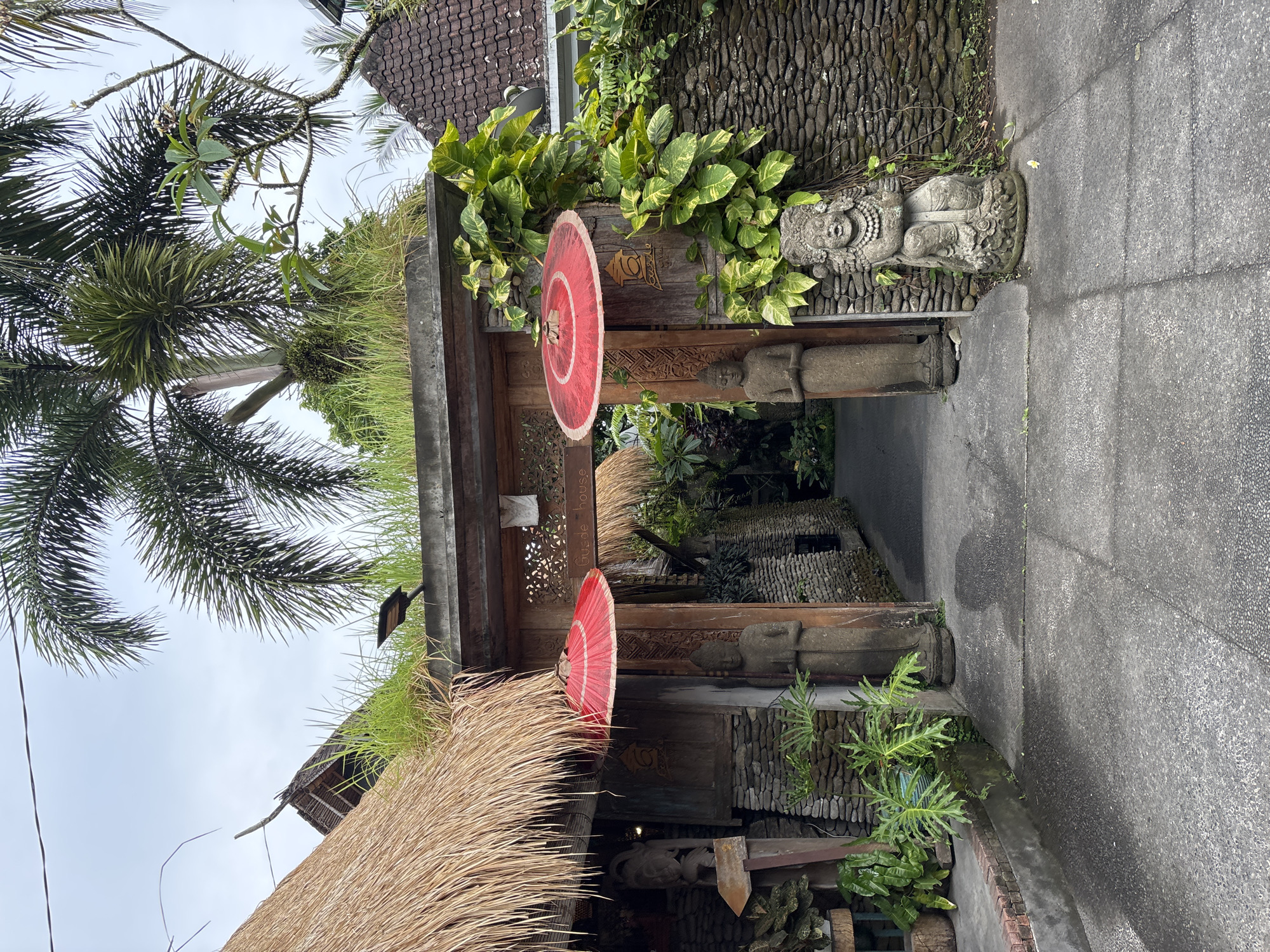 Ubud streets, gardens, and a pink flowering tree