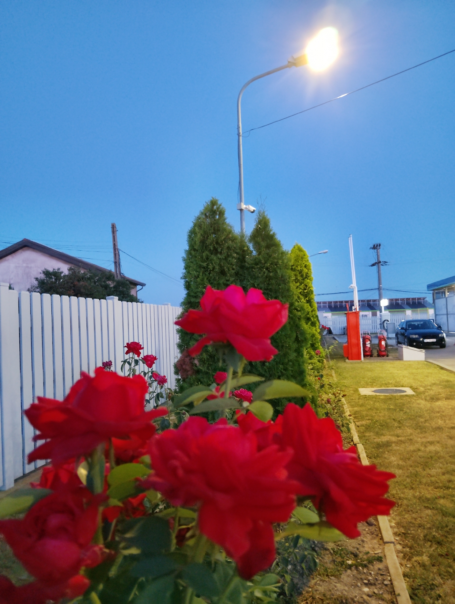 Dusk in Adjud: gas stations, gardens, and local life