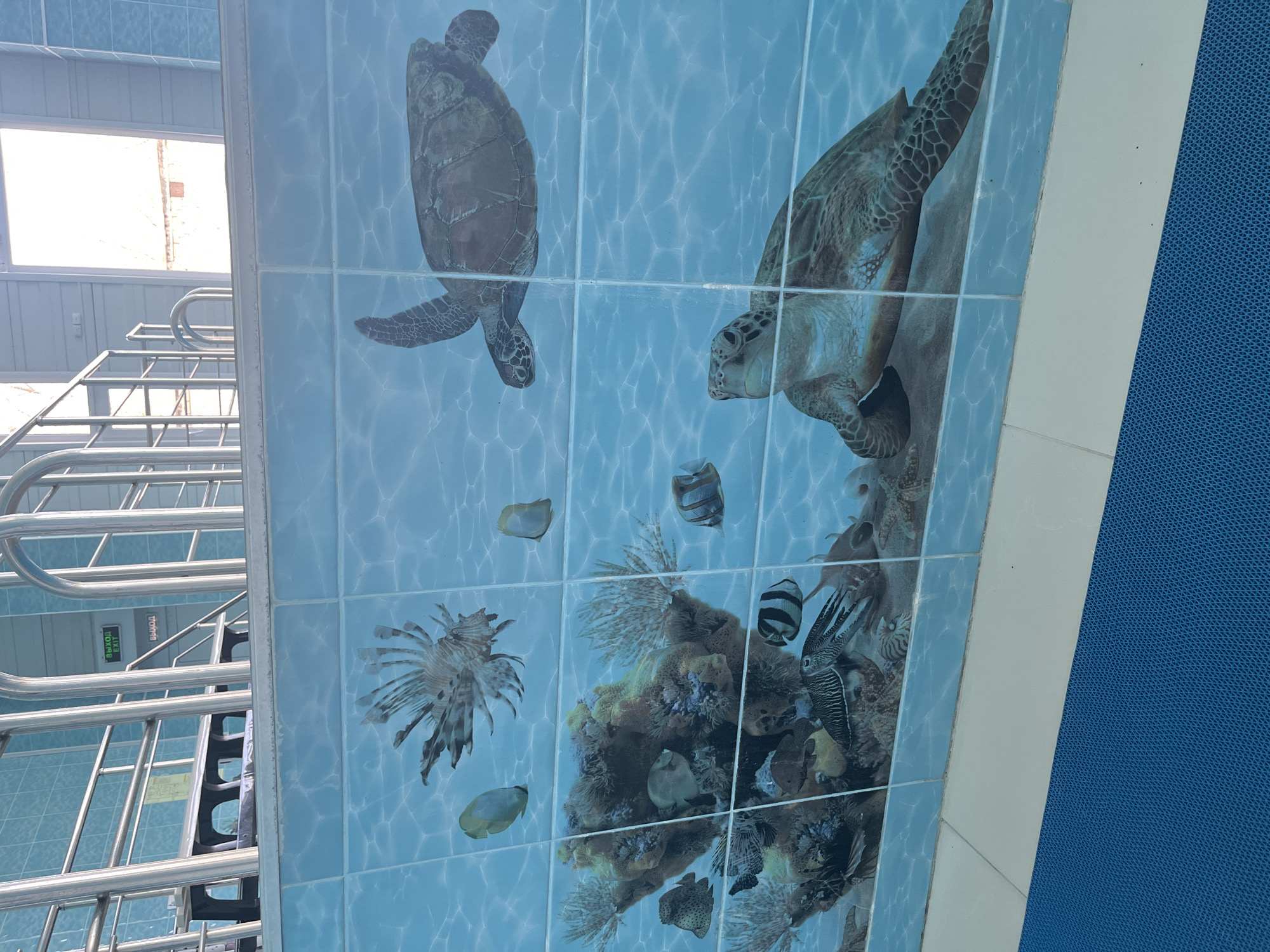 Disney-themed swimming facility documented in Ulyanovsk, Russia