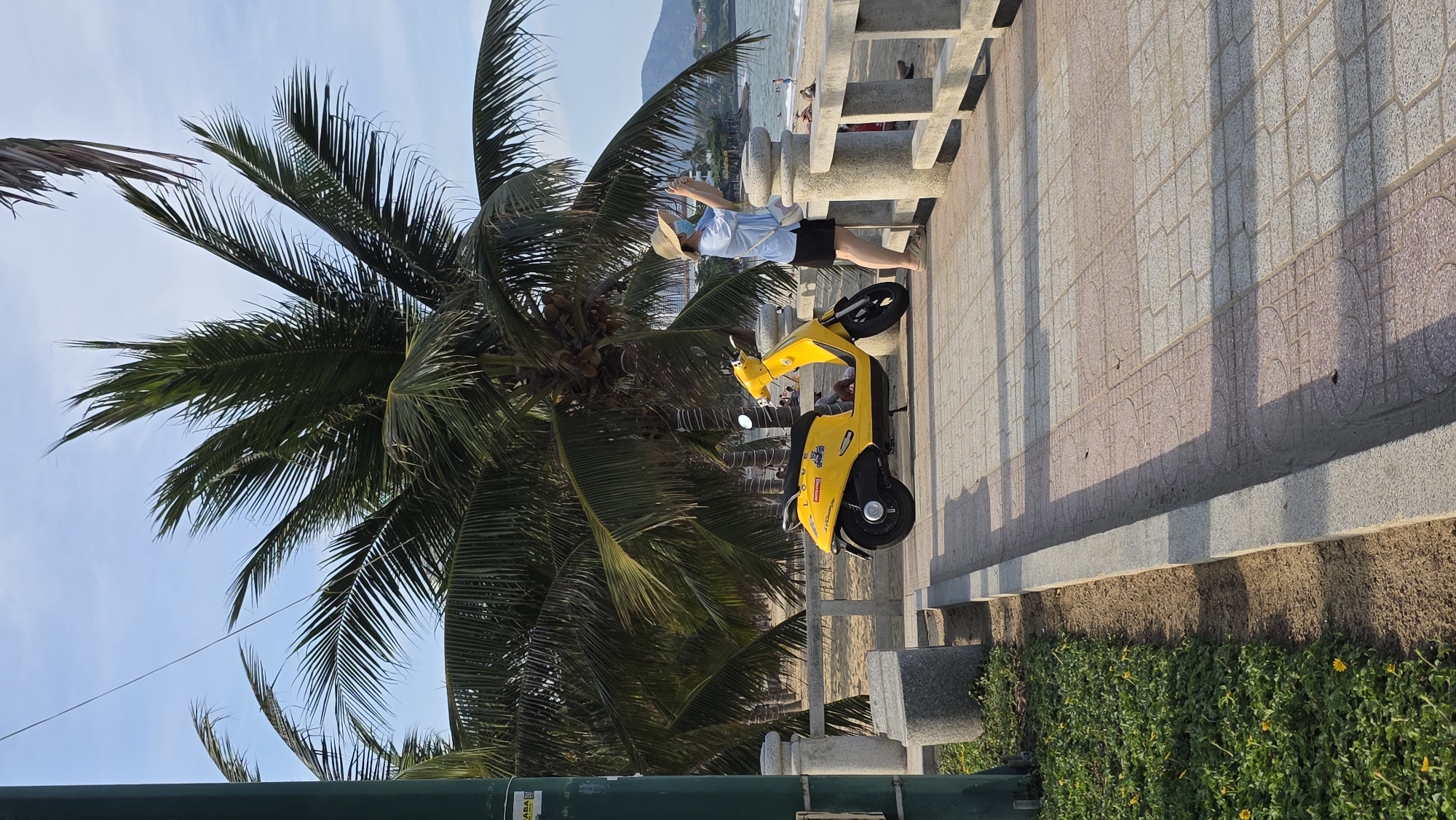 Morning beach life documented along Nha Trang waterfront promenade