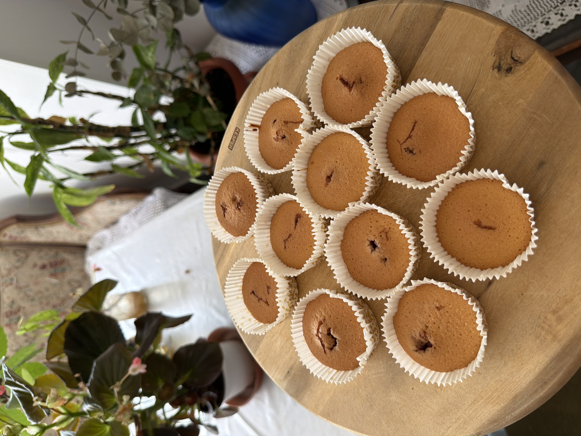 Homemade cupcakes baked and plated in Podgorica
