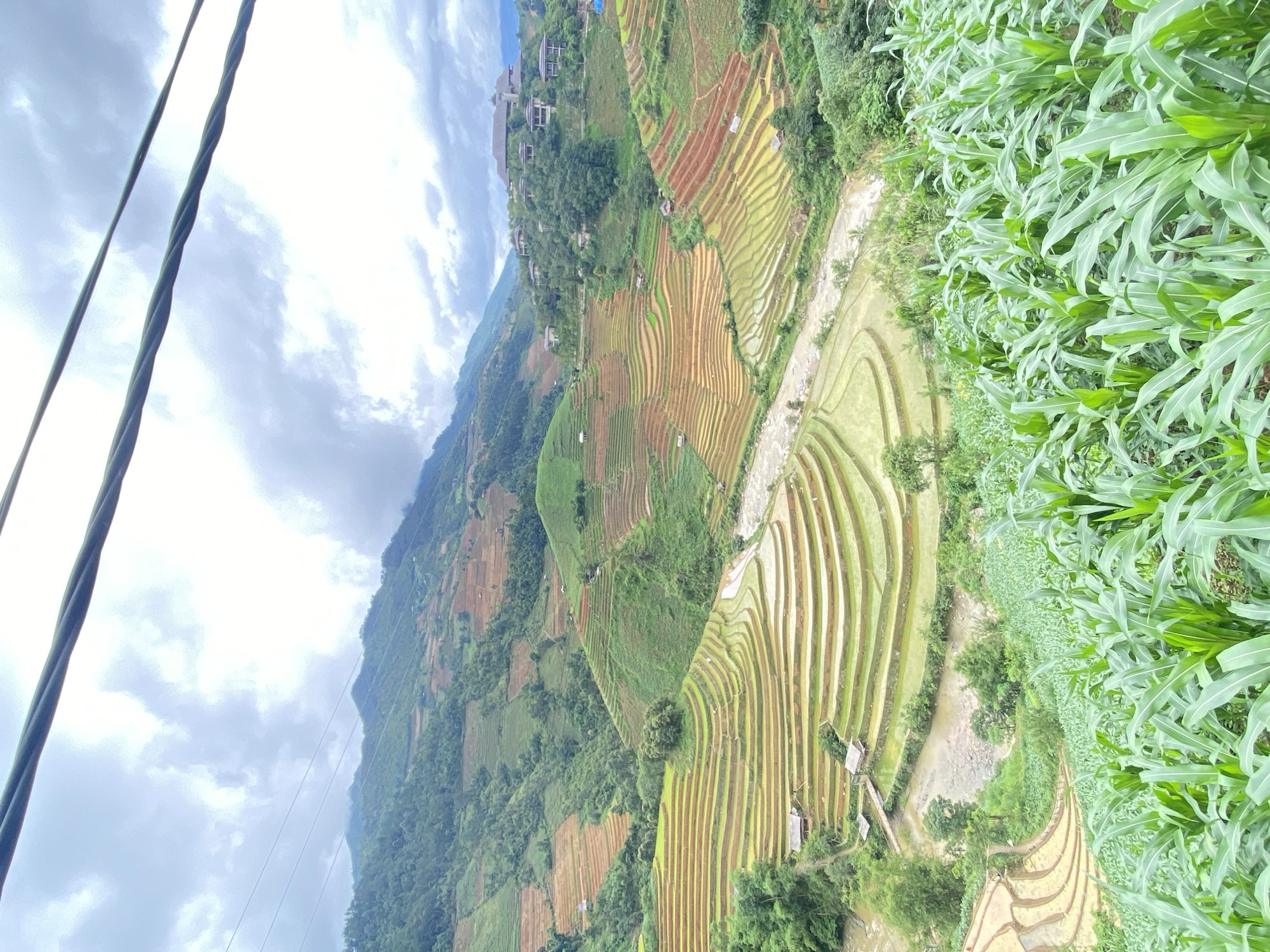 Witness documents Mù Cang Chải terraced landscape, dog sighting