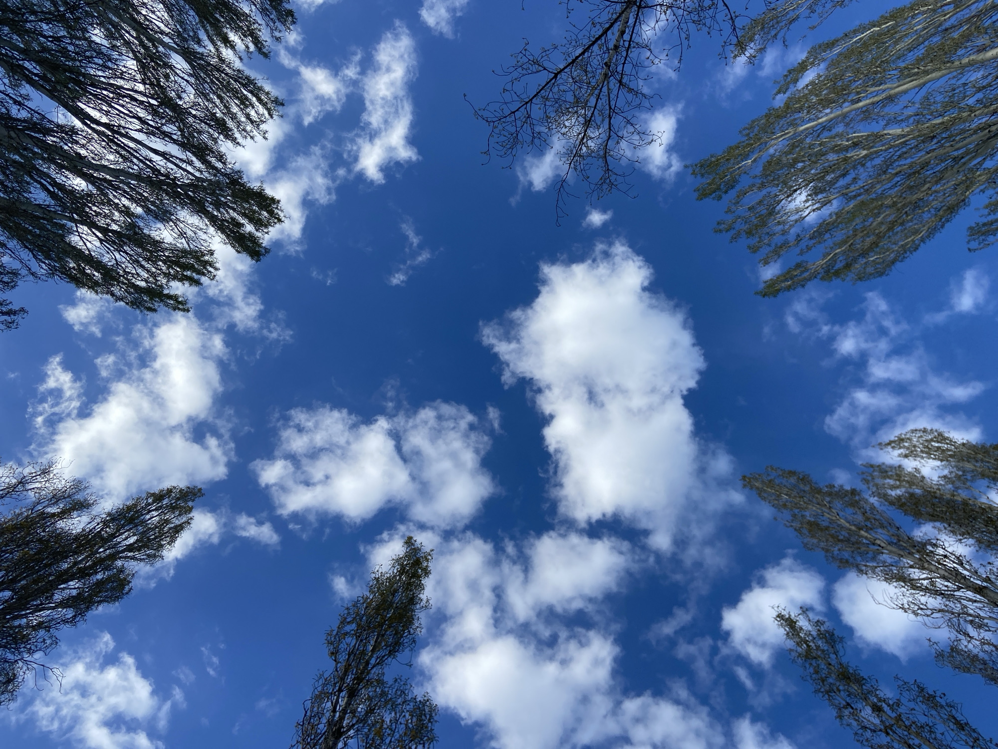Afternoon photography session captured sky and selfie in Saratov