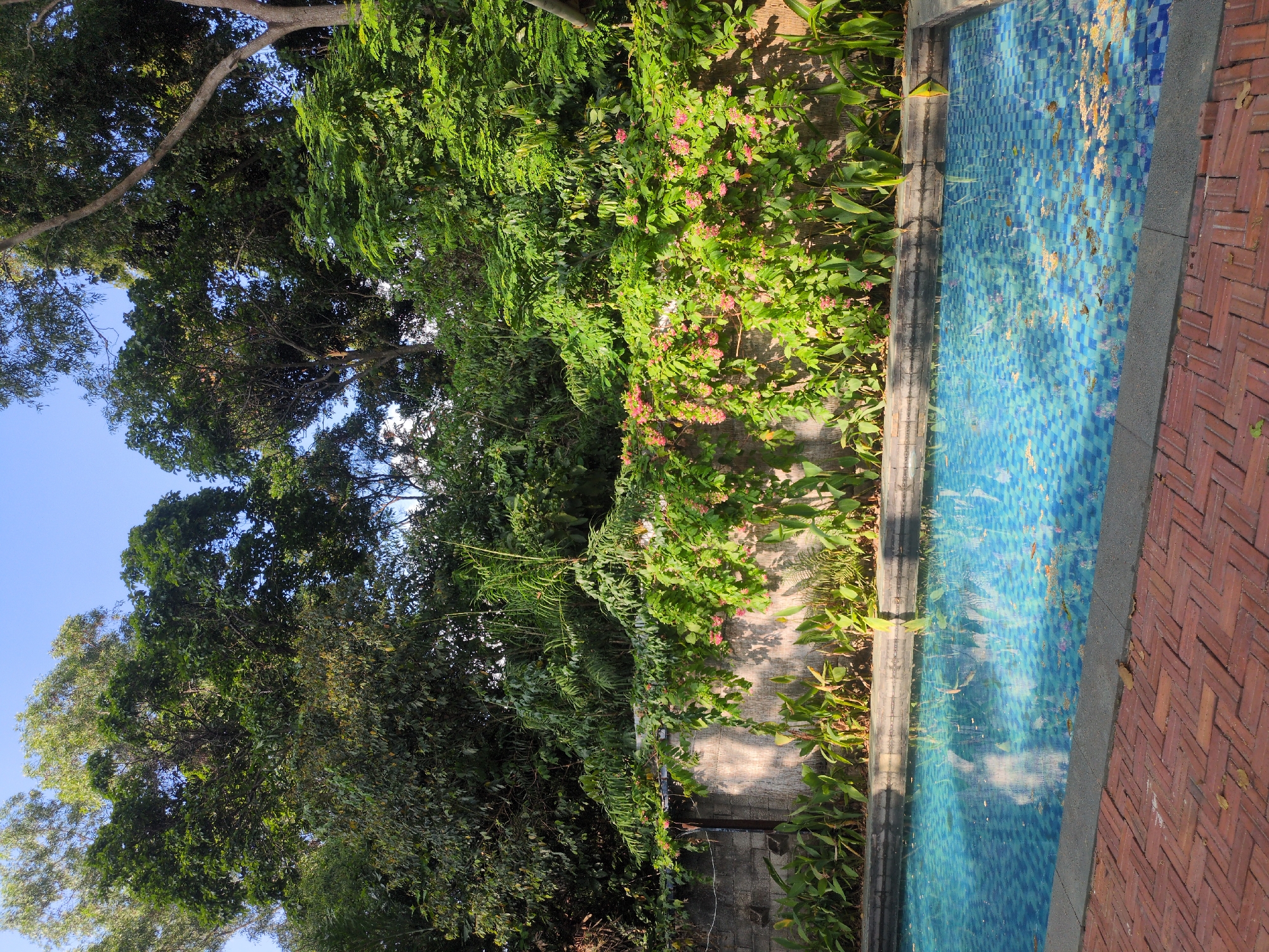 Tropical resort venue with pool and restaurant terrace documented