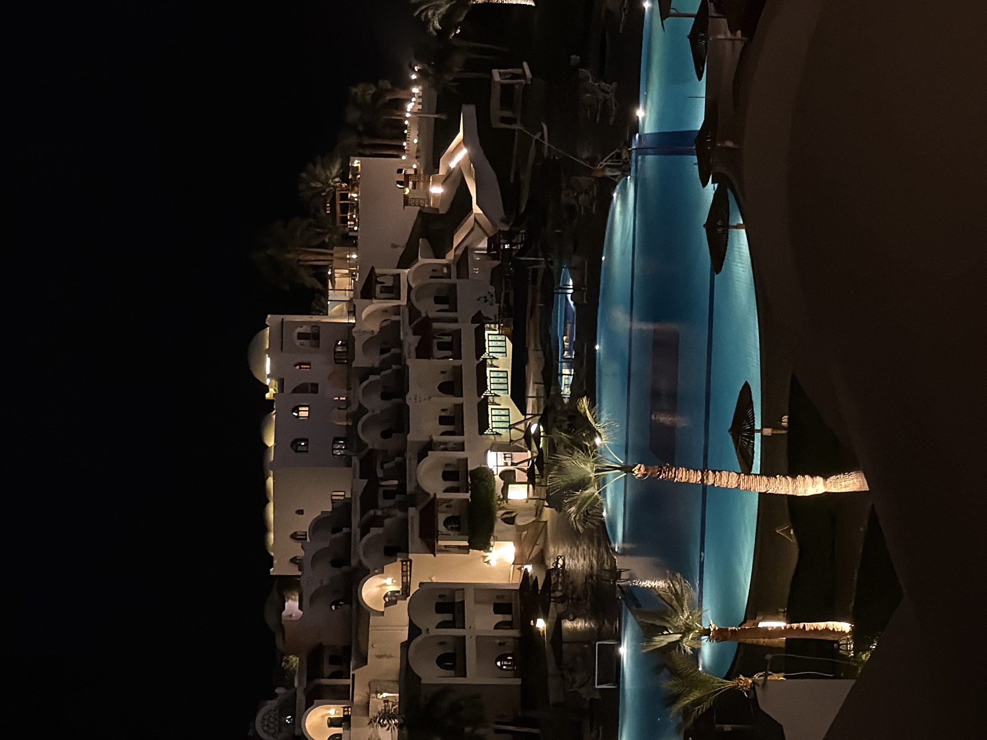 Tourist captures resort life and wildlife in Sharm El Sheikh