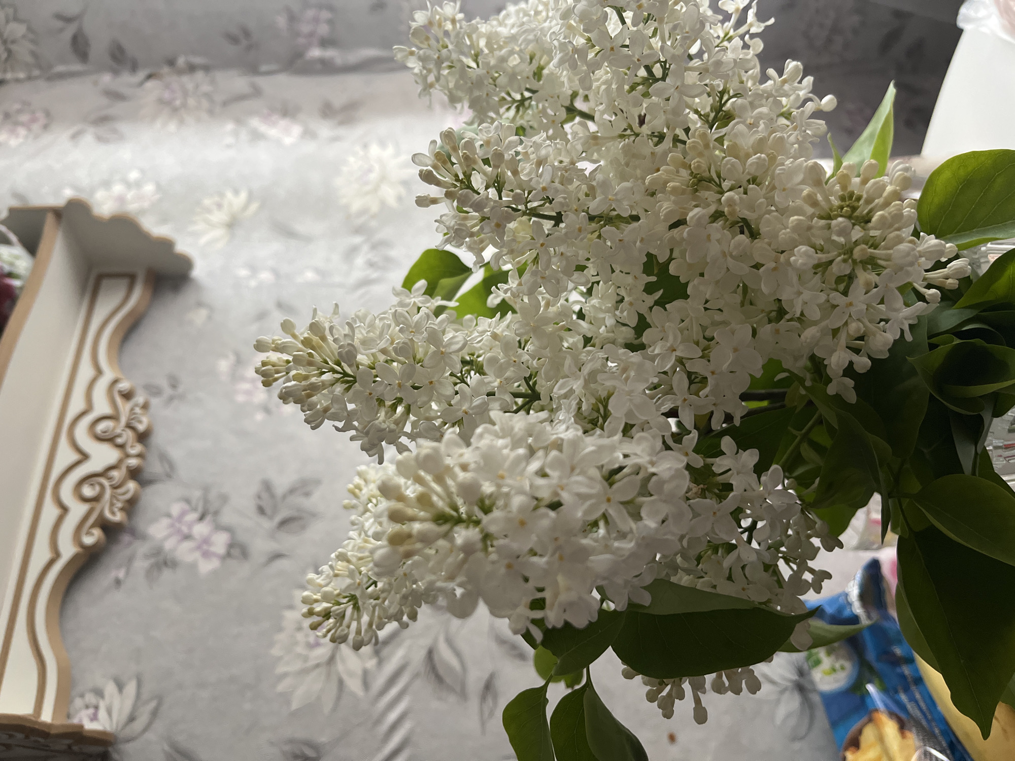 Anonymous witness documents domestic life in rural Мшинская, Russia