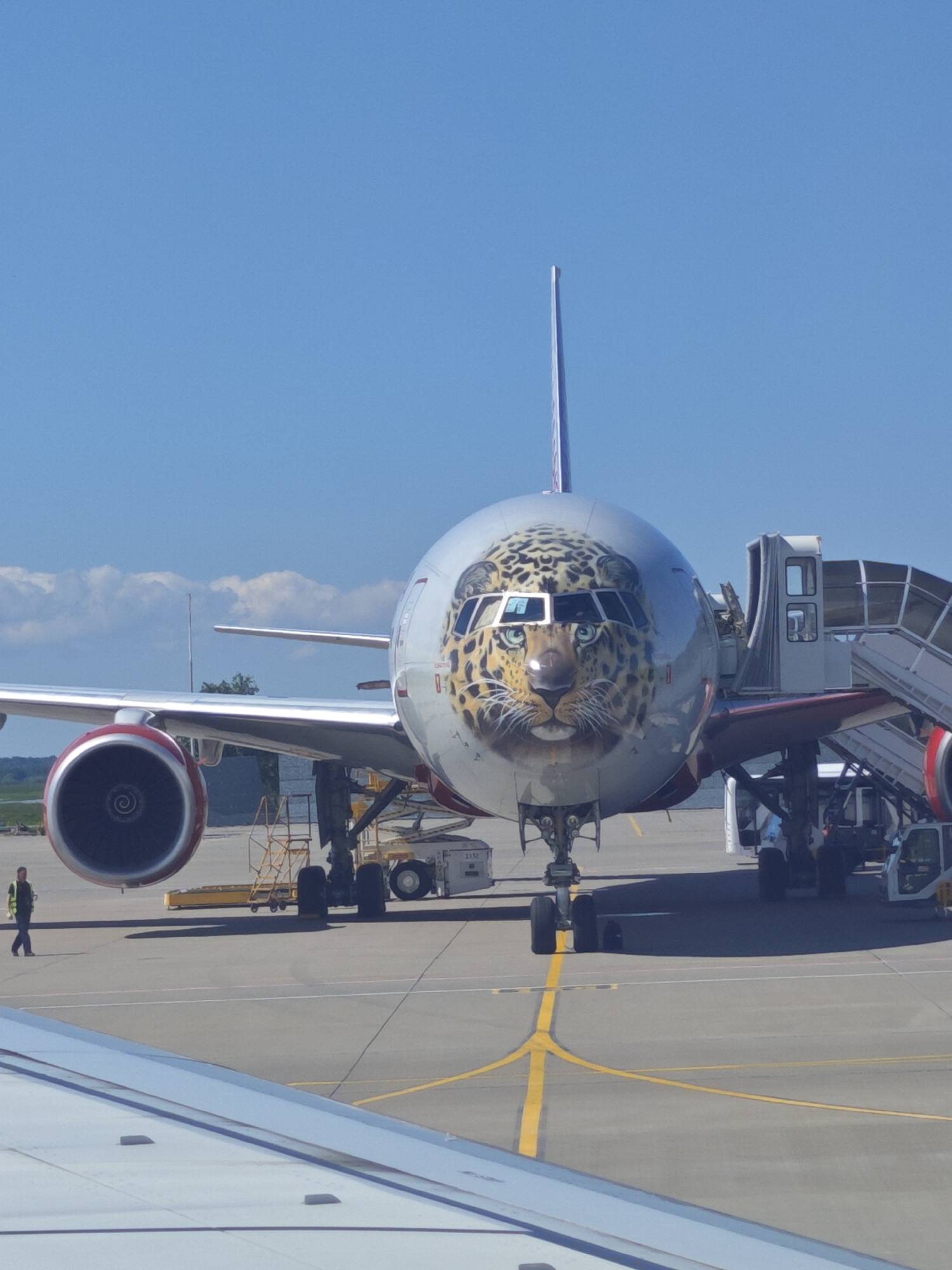 Leopard-painted aircraft spotted at Saint Petersburg's Pulkovo Airport