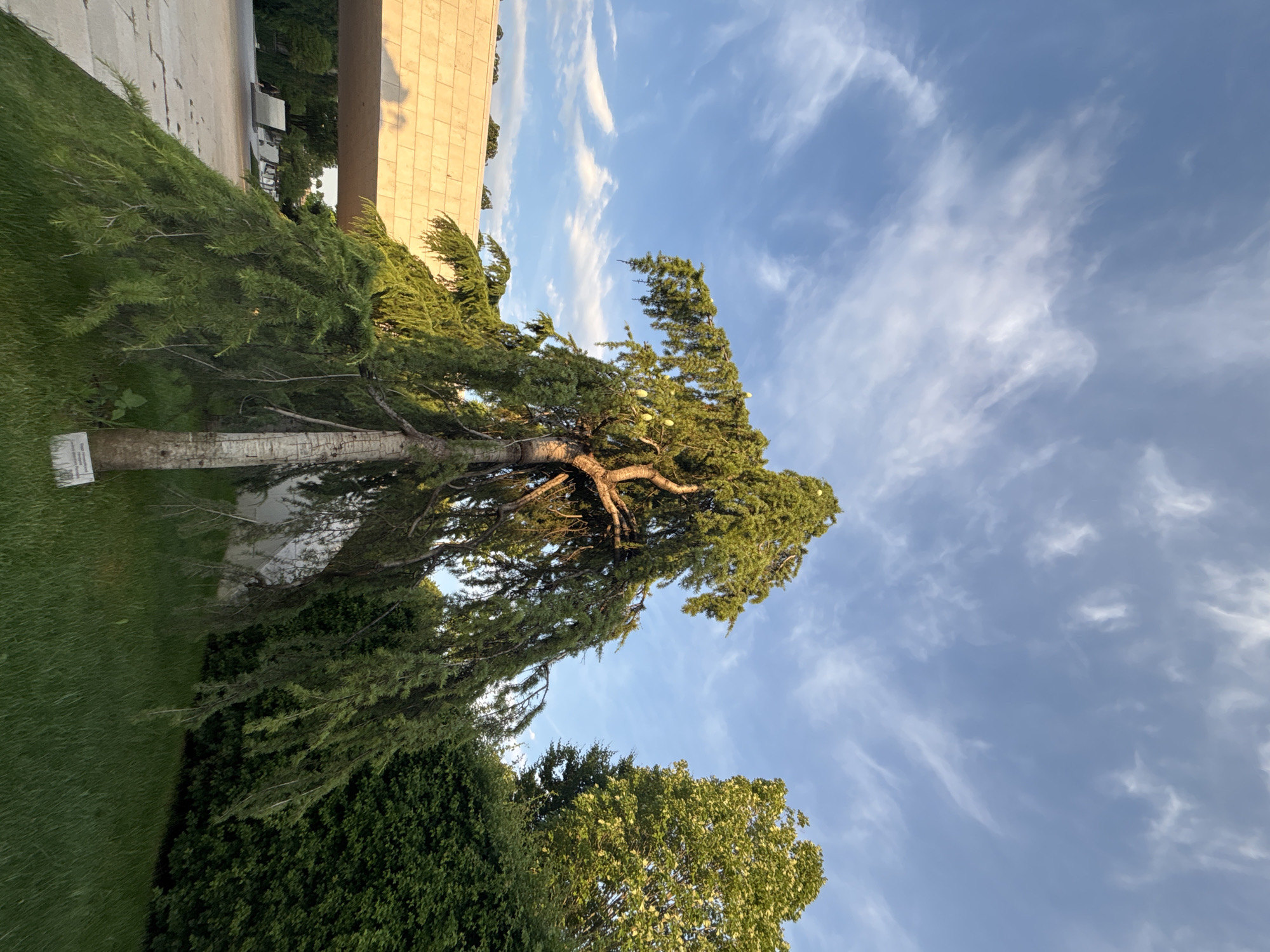 Exploring Galitsky Park's gardens, fountains, and stadium architecture at dusk