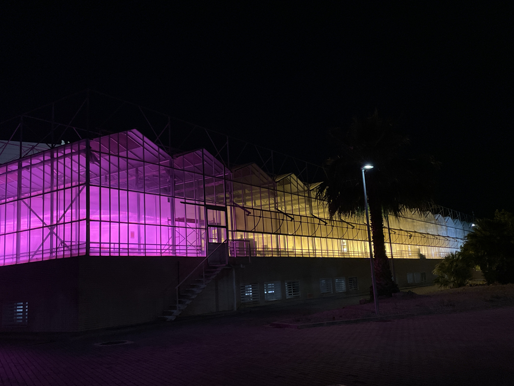 University greenhouse displays colorful nighttime illumination in València