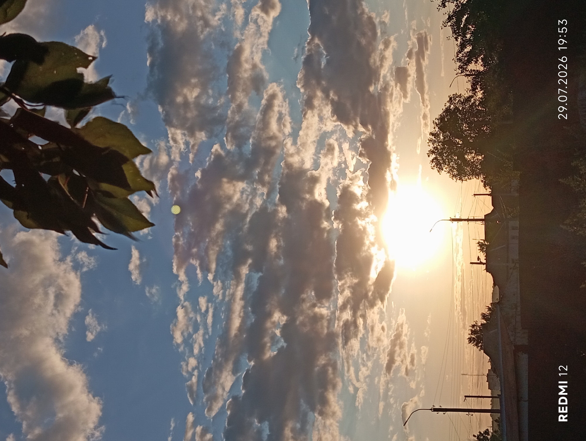 Wildflowers, insects, and a sunset on the outskirts of Smila