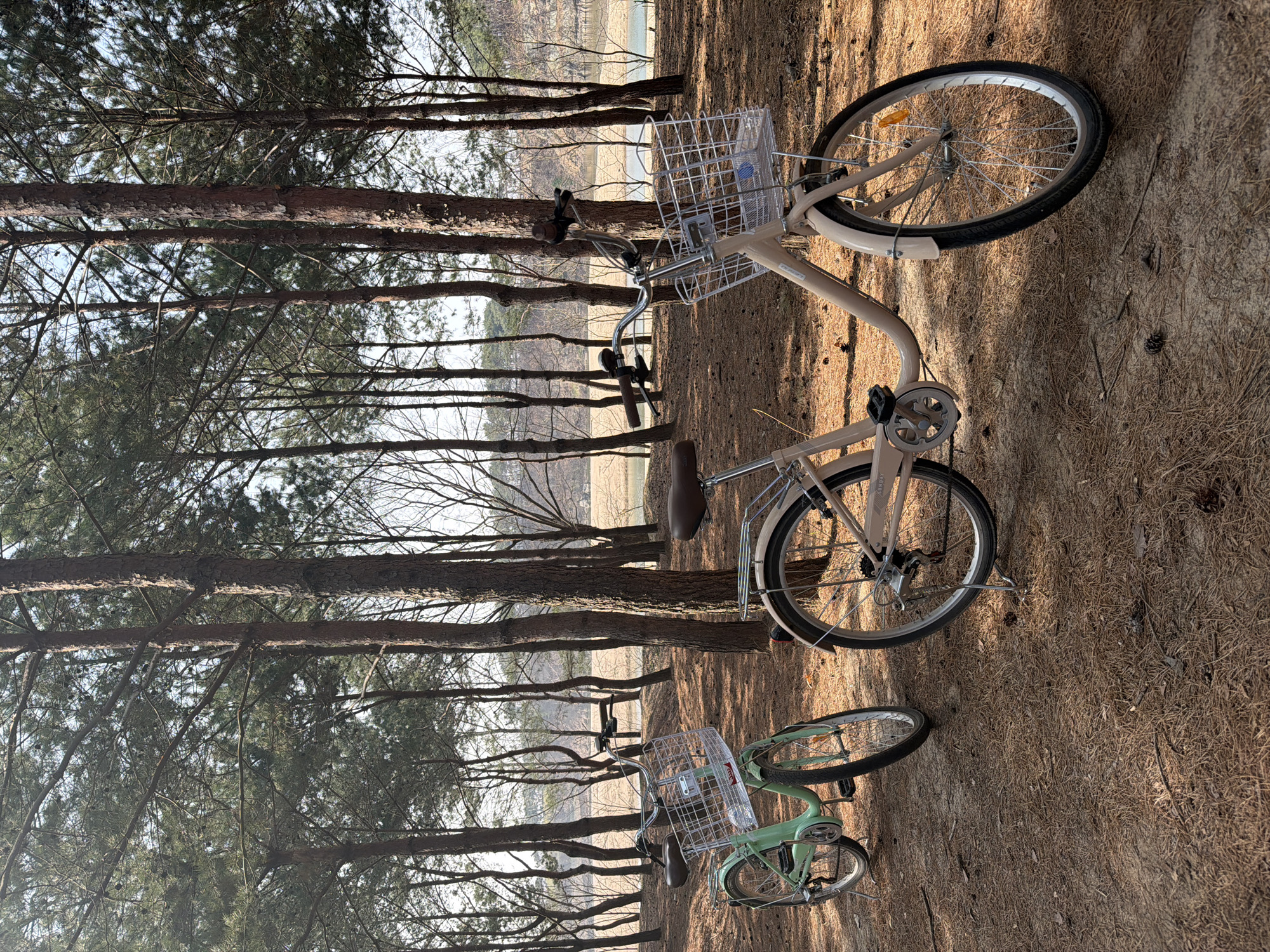 Morning cultural tourism and cycling in historic Andong-si