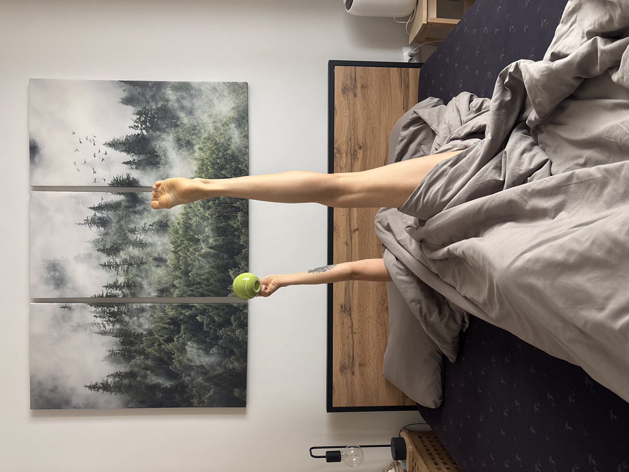 Person resting in bedroom with forest artwork in Chaikovsky