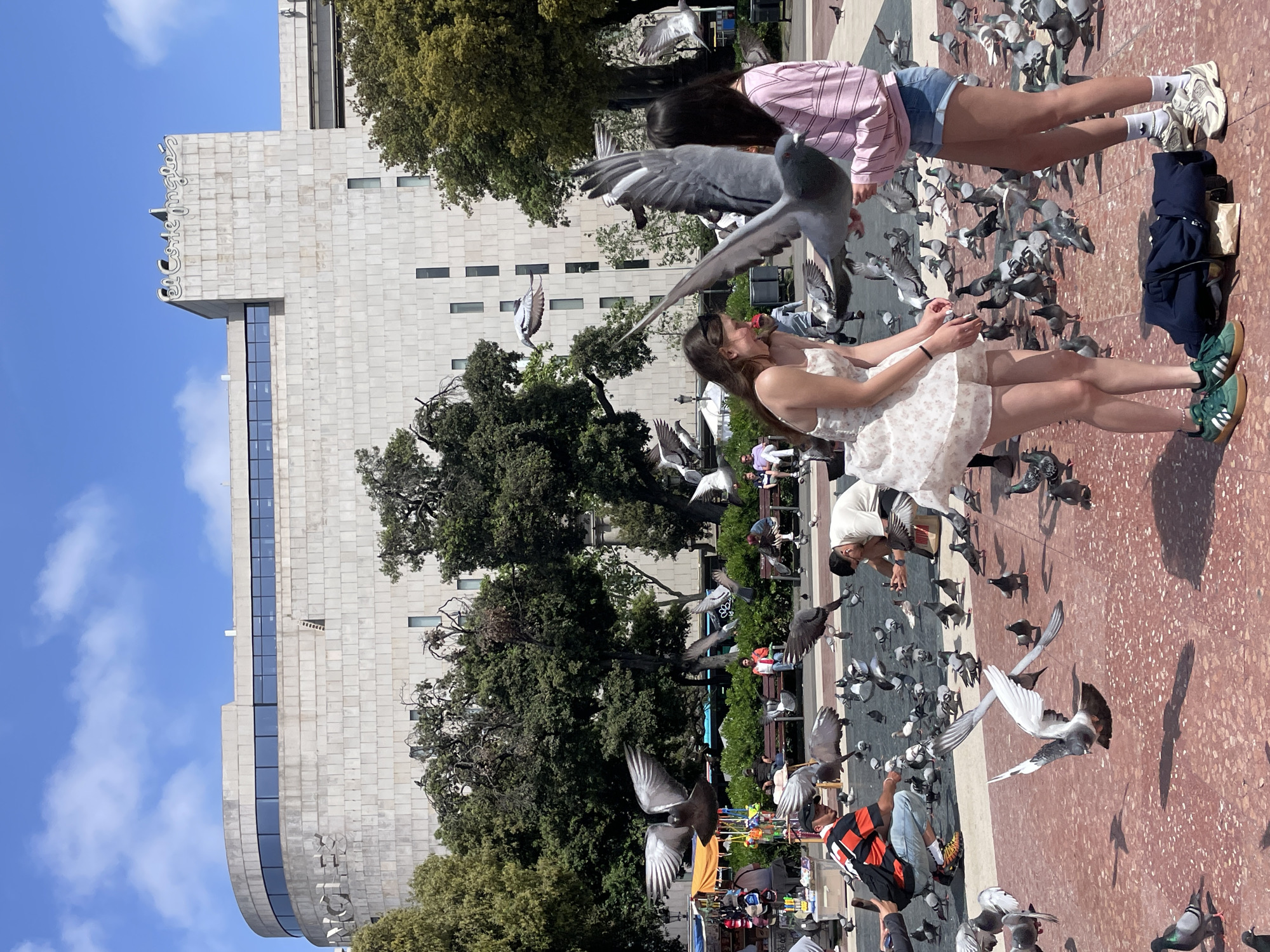 Pigeons gather on Barcelona plaza near IBEROSTAR building