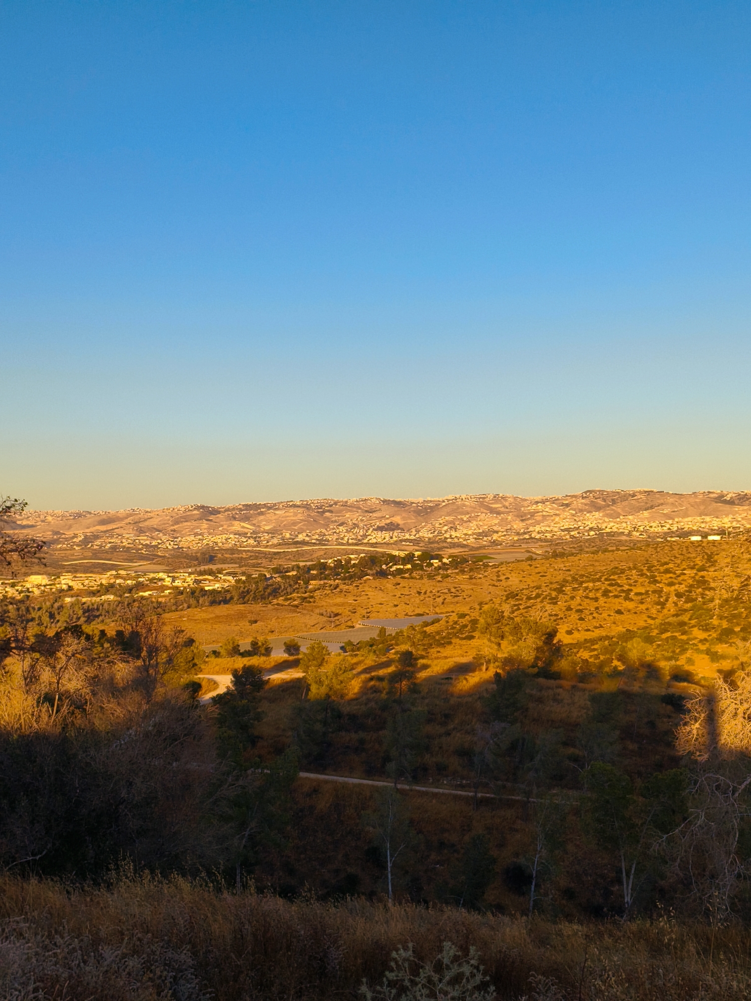 Golden hour landscapes photographed in Lachish Regional Council, Israel