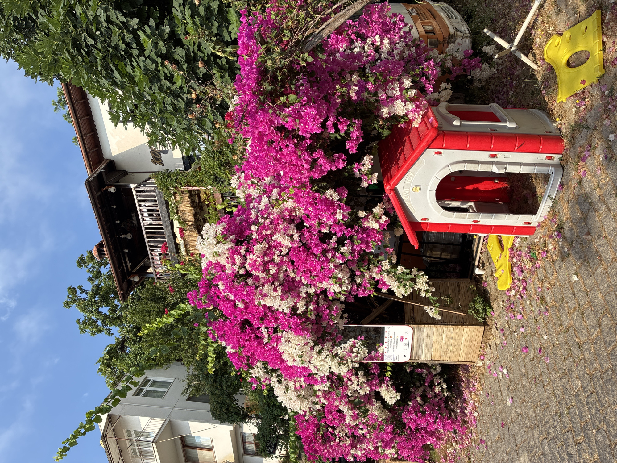 Bougainvillea walls and naval vessels in Alanya harbor