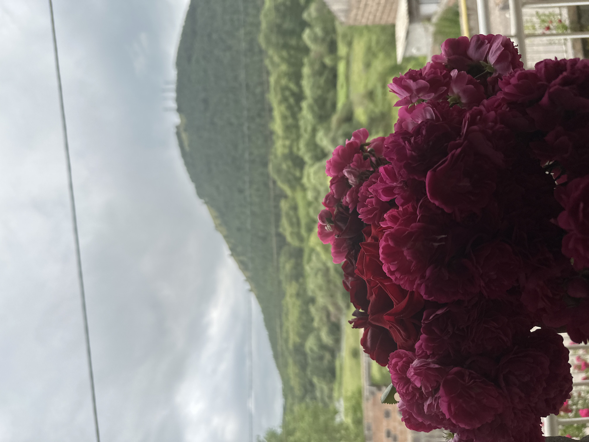 Bavra, Georgia