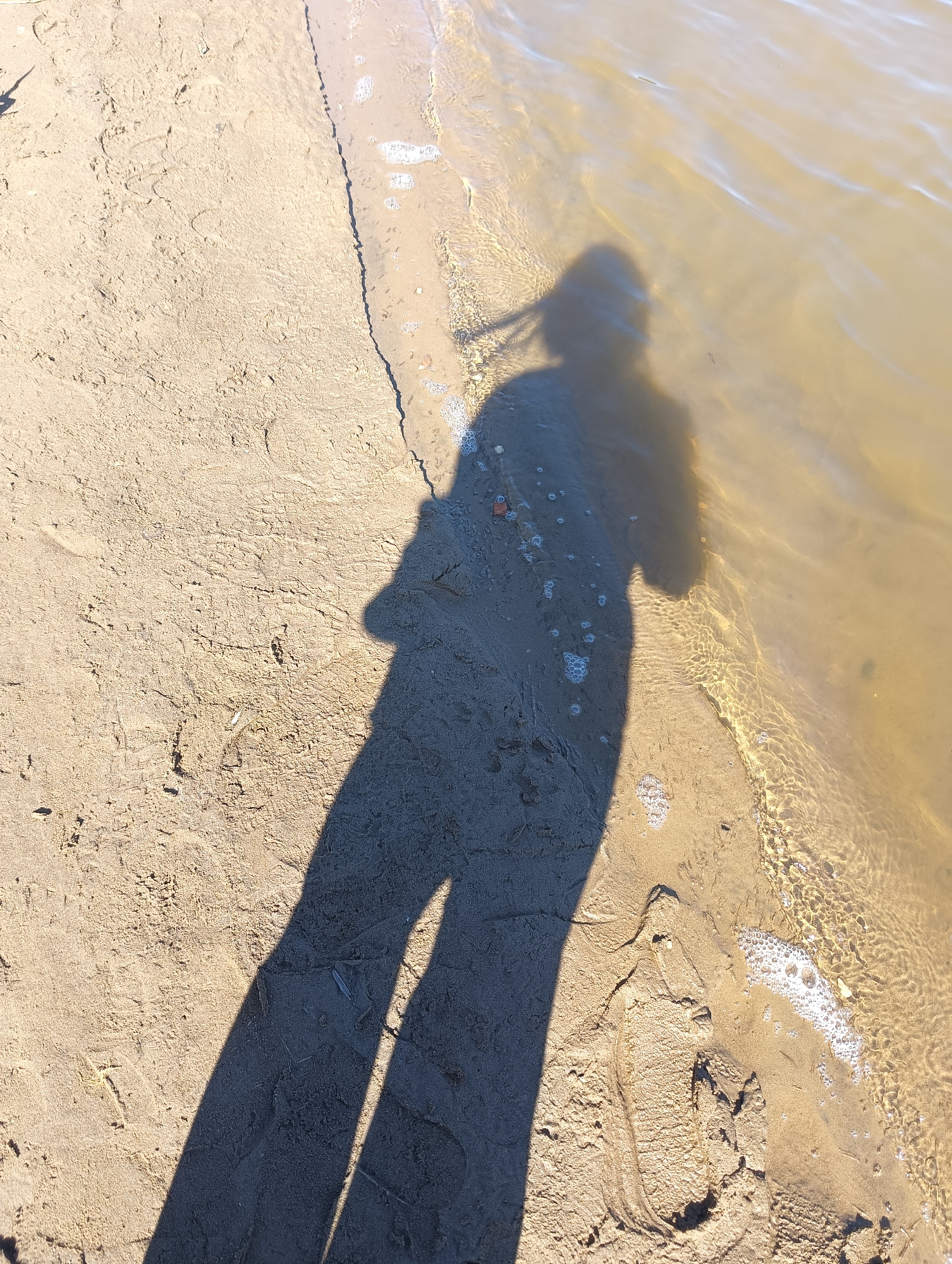 Child plays at lakeside beach, picks up flower