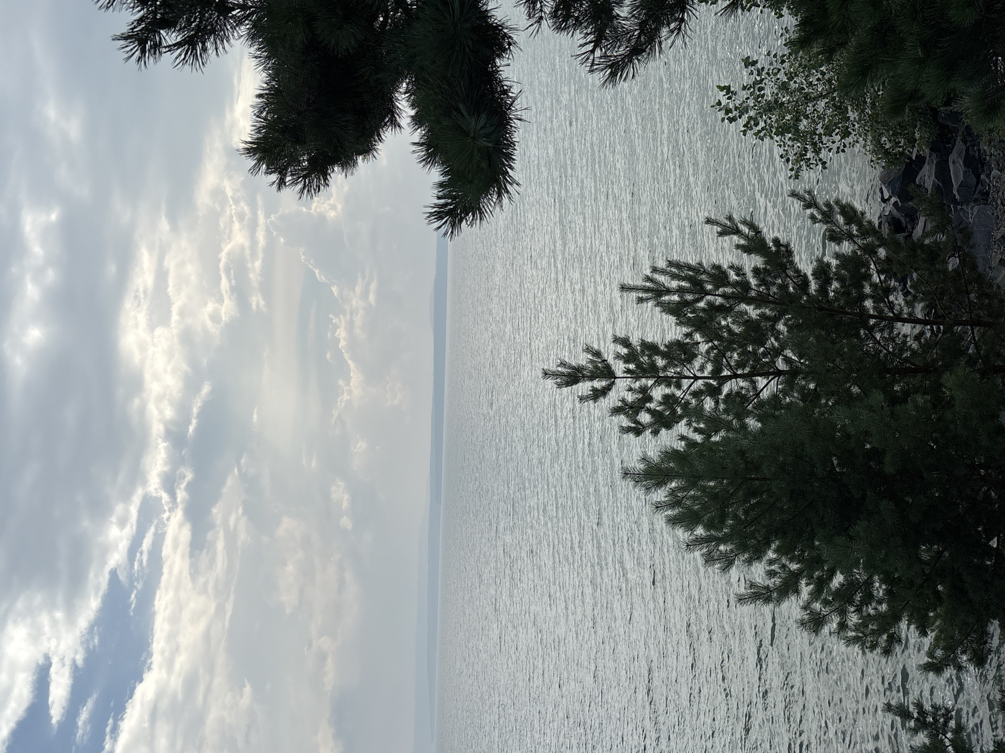 Morning at the Bratsk Reservoir shoreline, Siberia