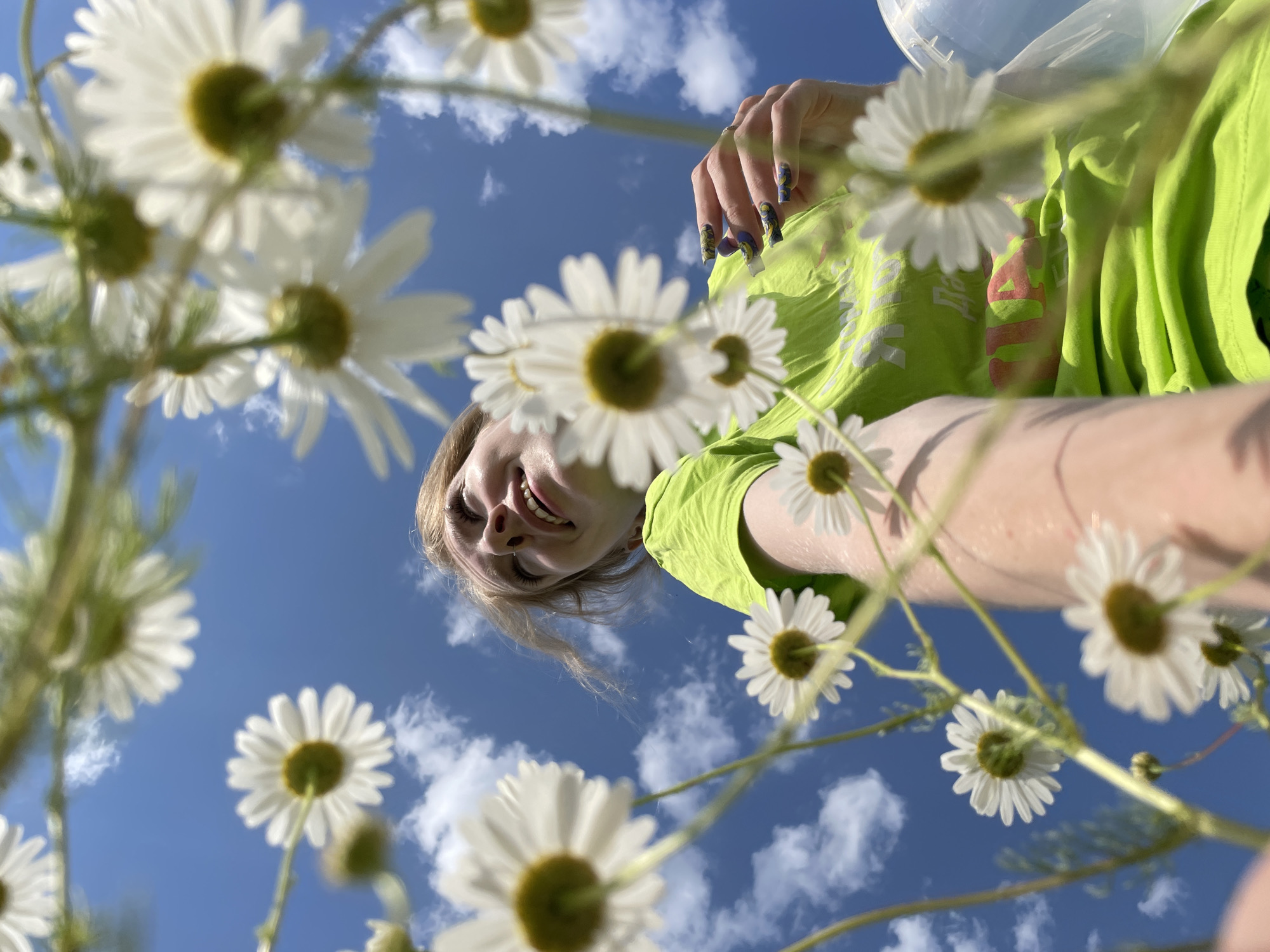 Sunny afternoon in a daisy field, Сям-Можга